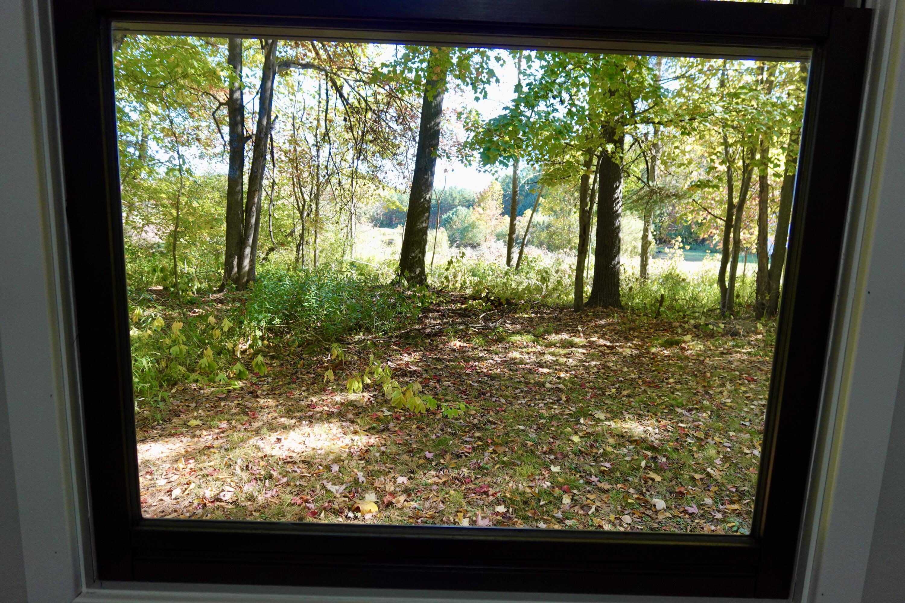 17751 Blue Star Highway Property Photo 21