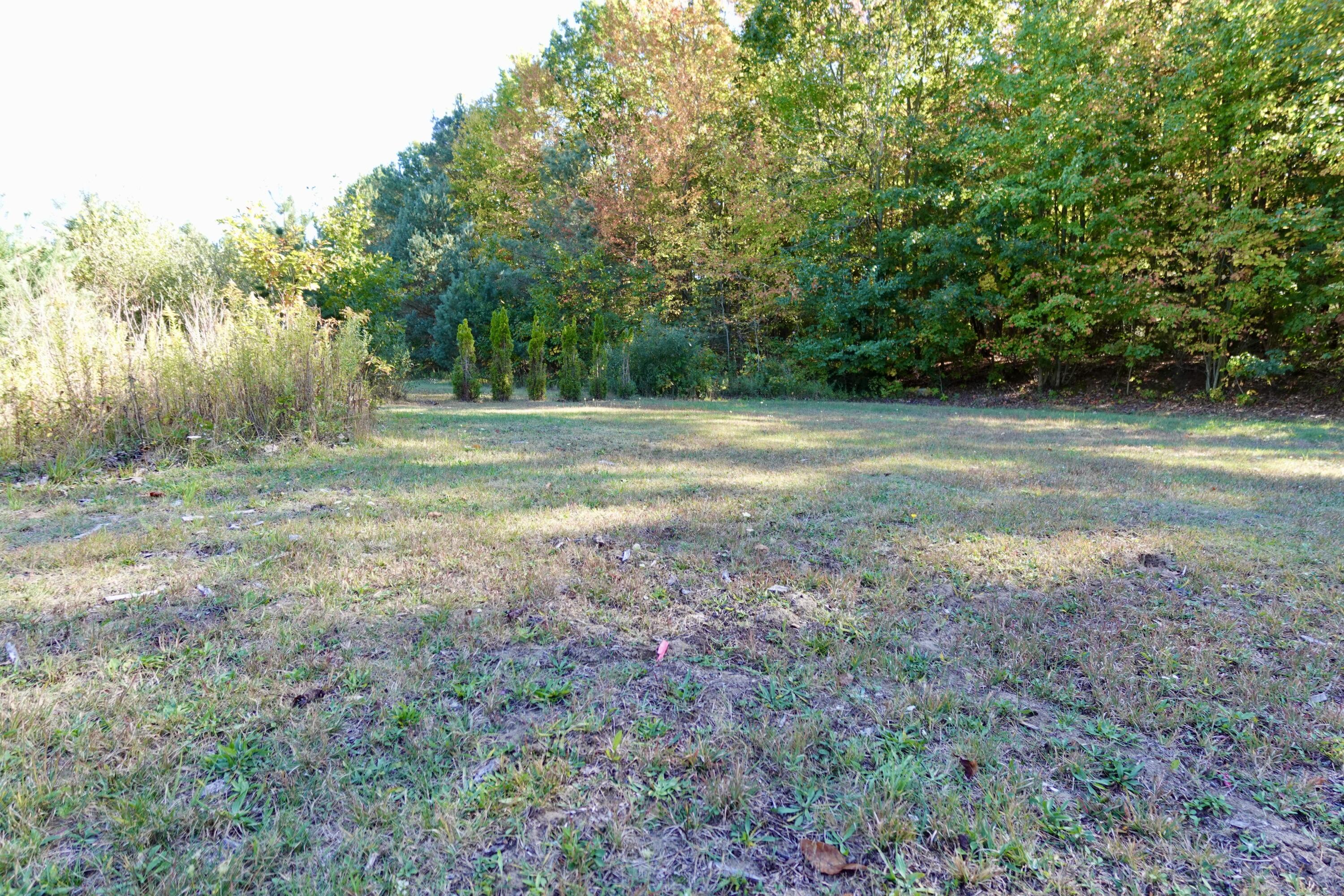 17751 Blue Star Highway Property Photo 25