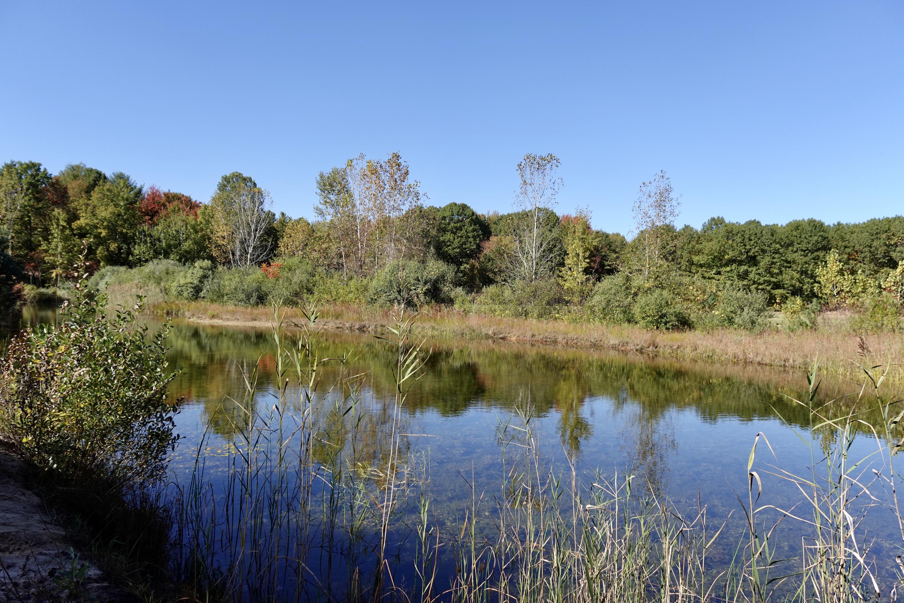 17751 Blue Star Highway Property Photo 29