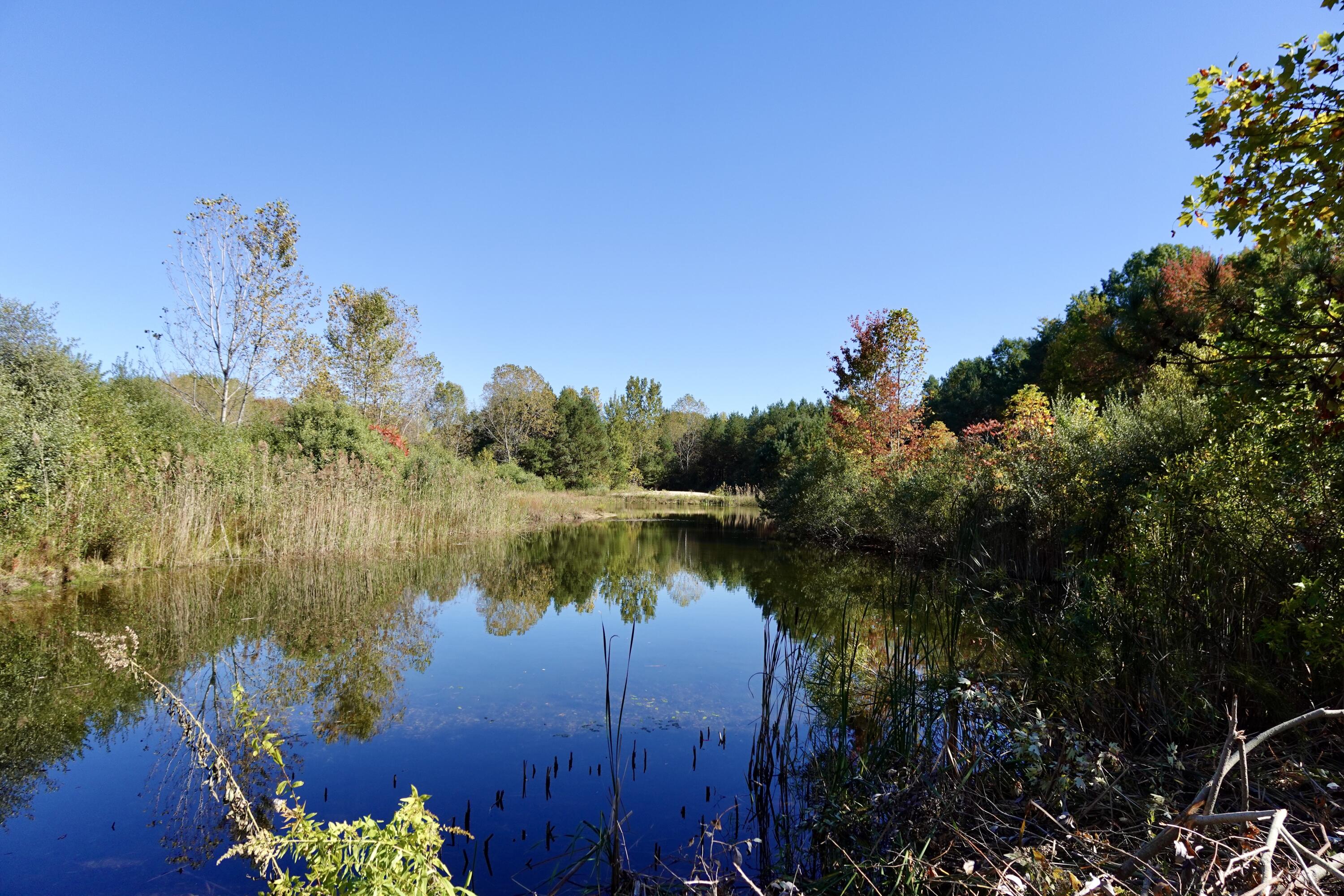 17751 Blue Star Highway Property Photo 31