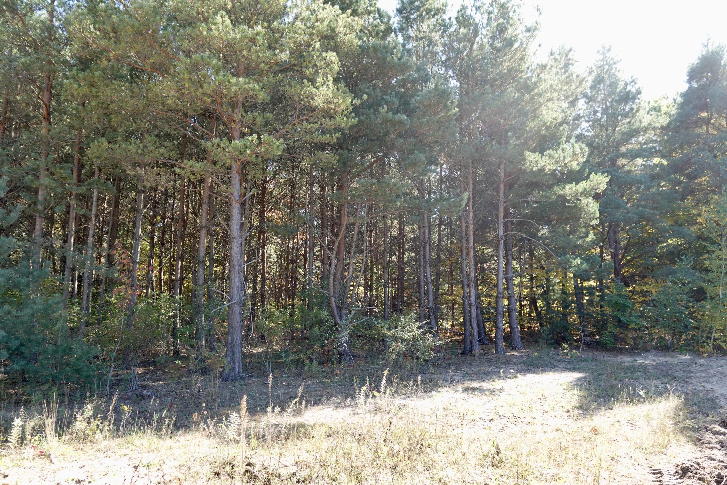 17751 Blue Star Highway Property Photo 33