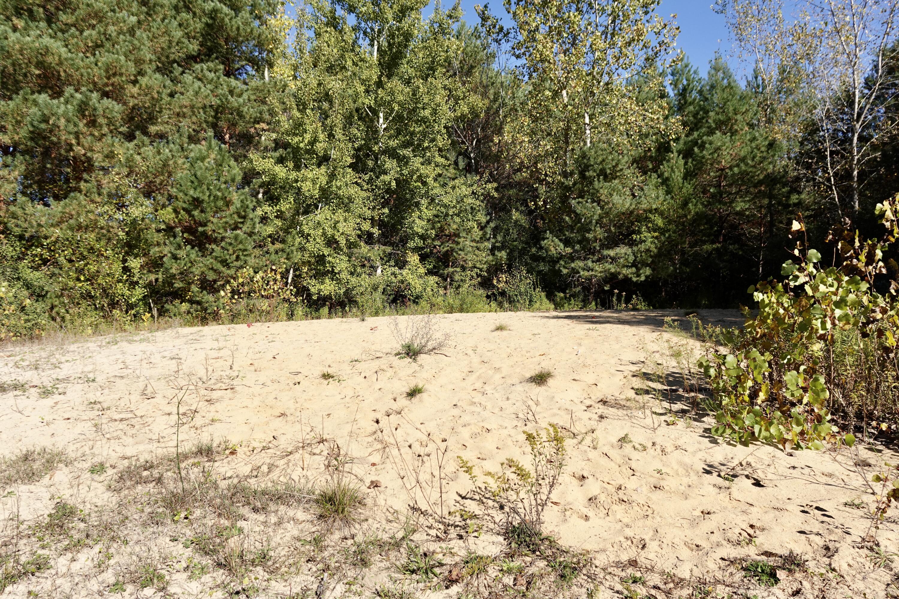 17751 Blue Star Highway Property Photo 34
