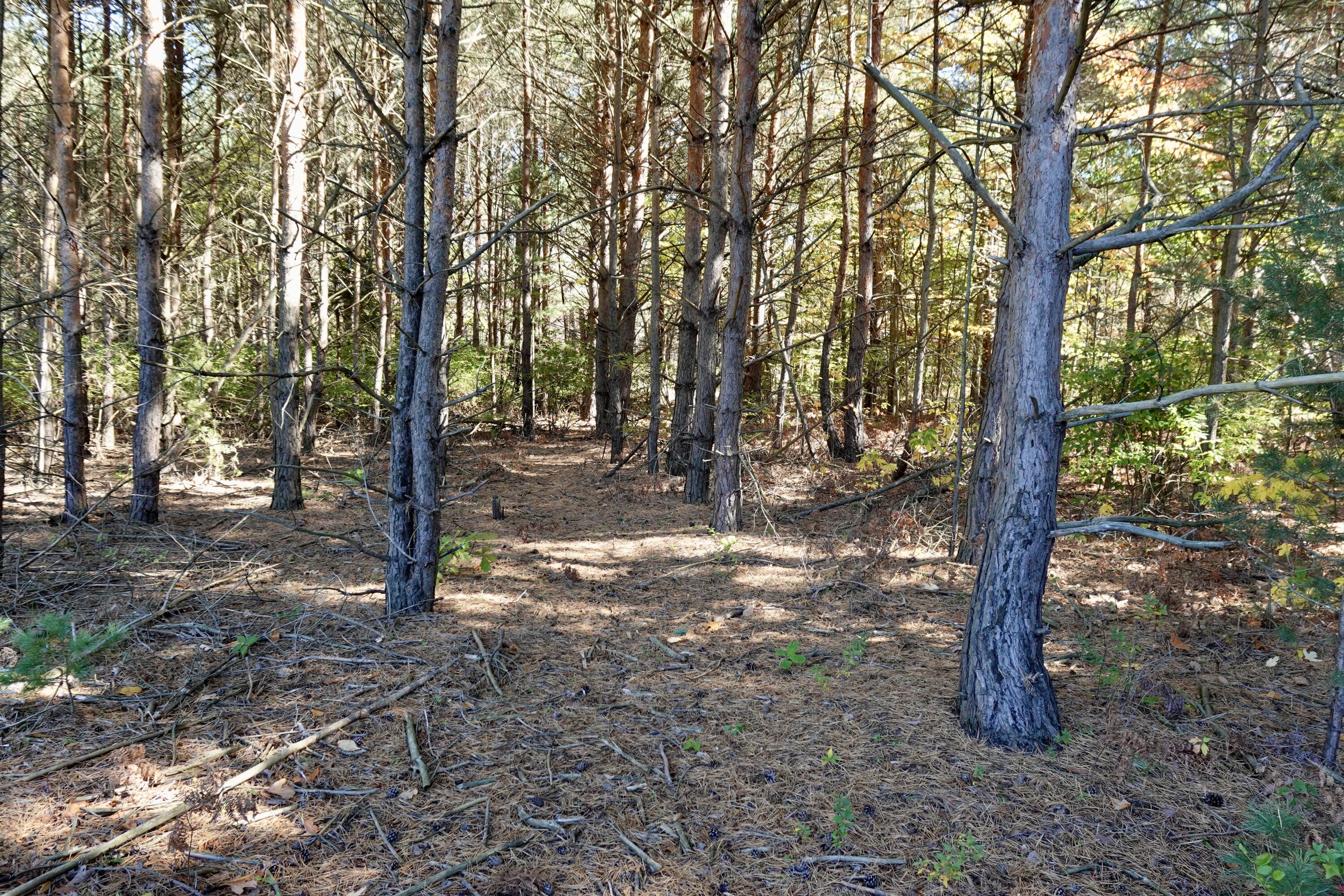 17751 Blue Star Highway Property Photo 35