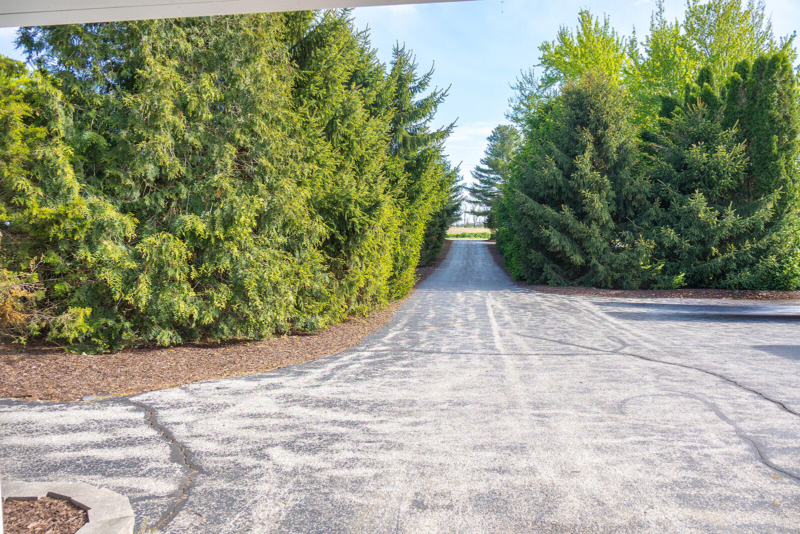 5251 Spring Creek Road Property Photo 18