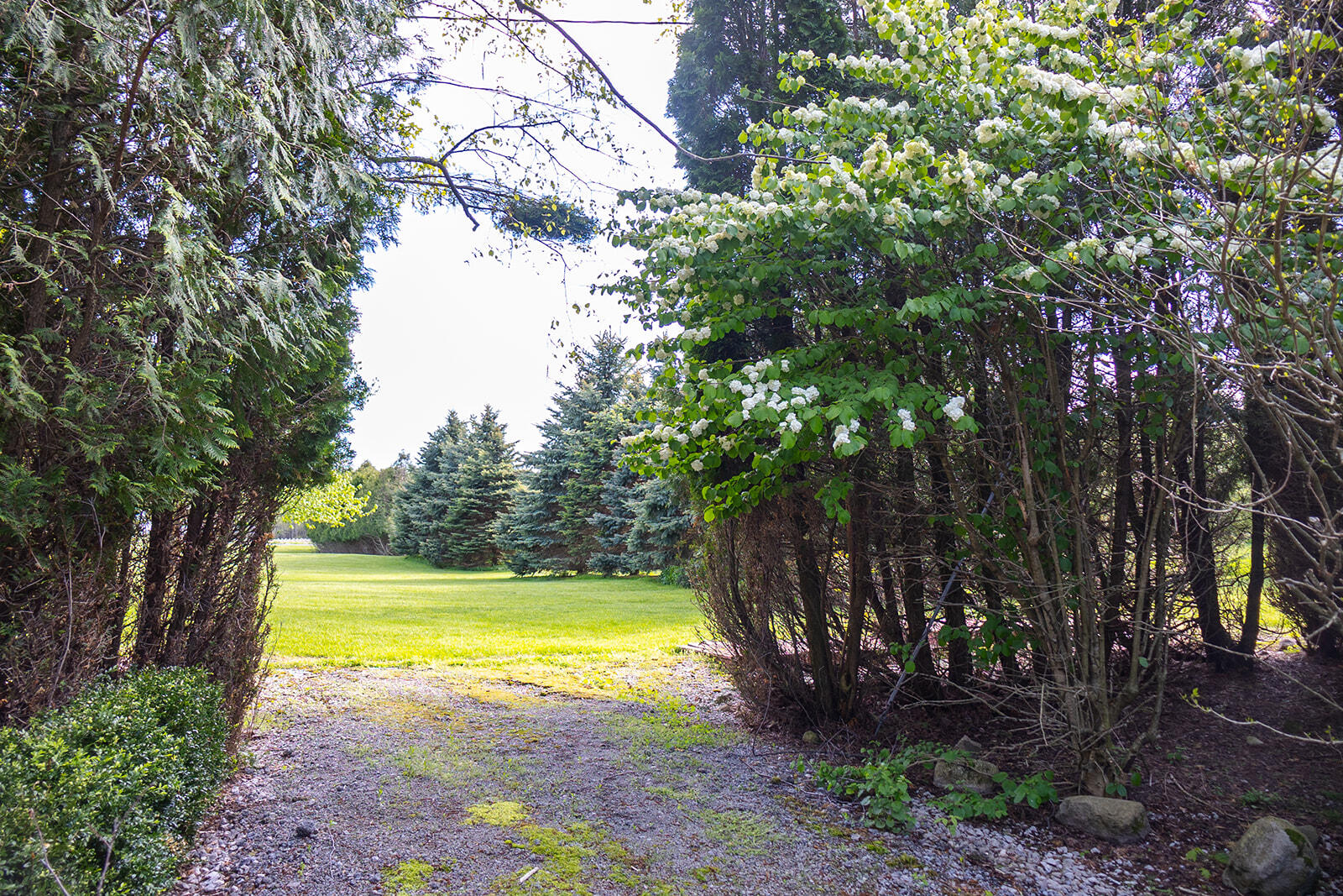 5251 Spring Creek Road Property Photo 21