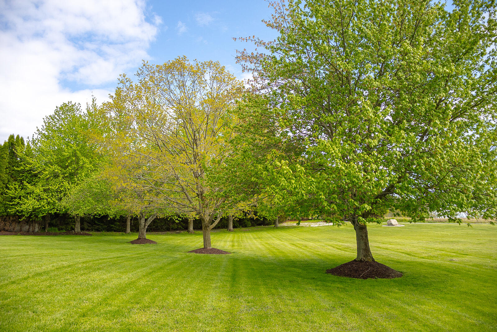 5251 Spring Creek Road Property Photo 24