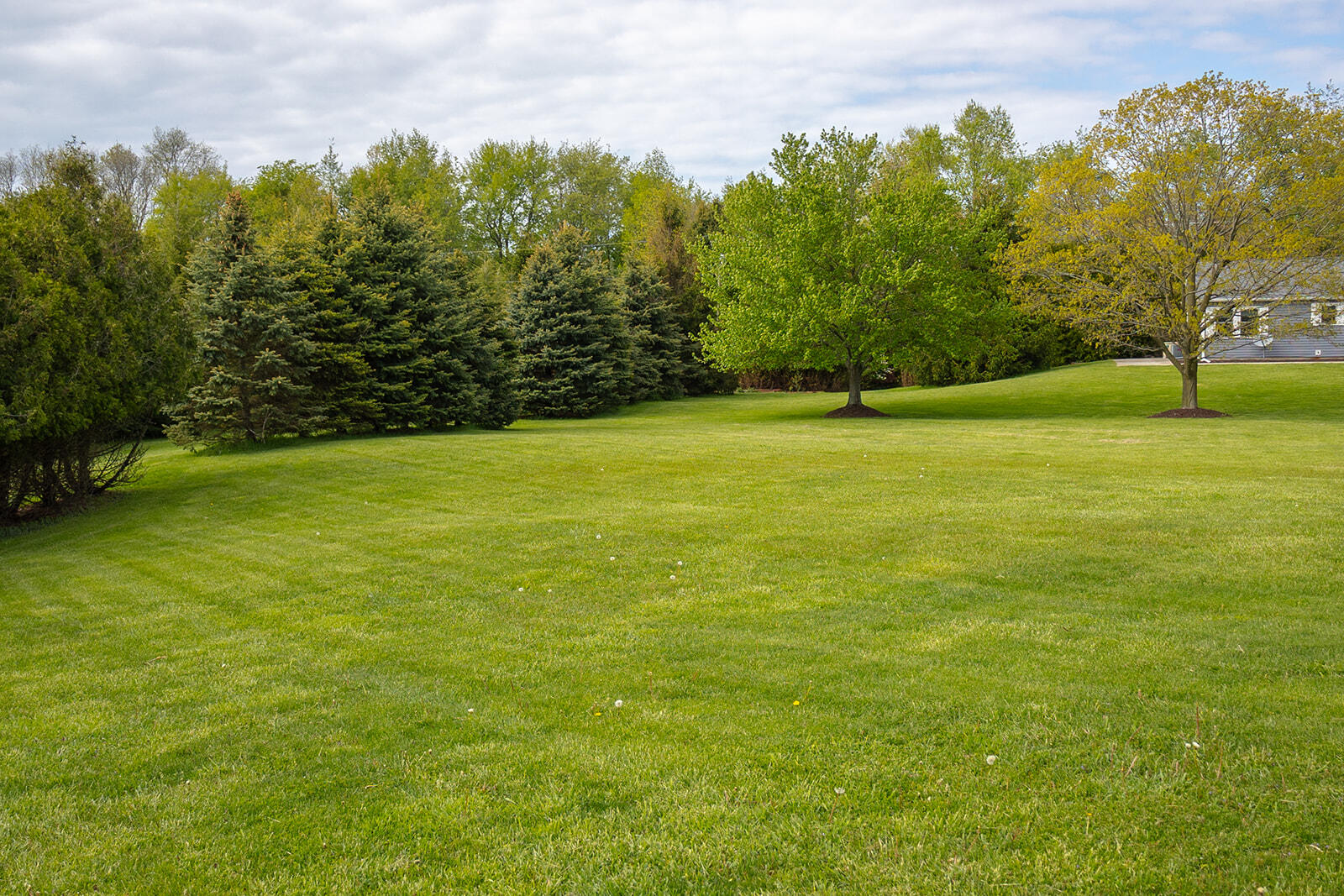 5251 Spring Creek Road Property Photo 25