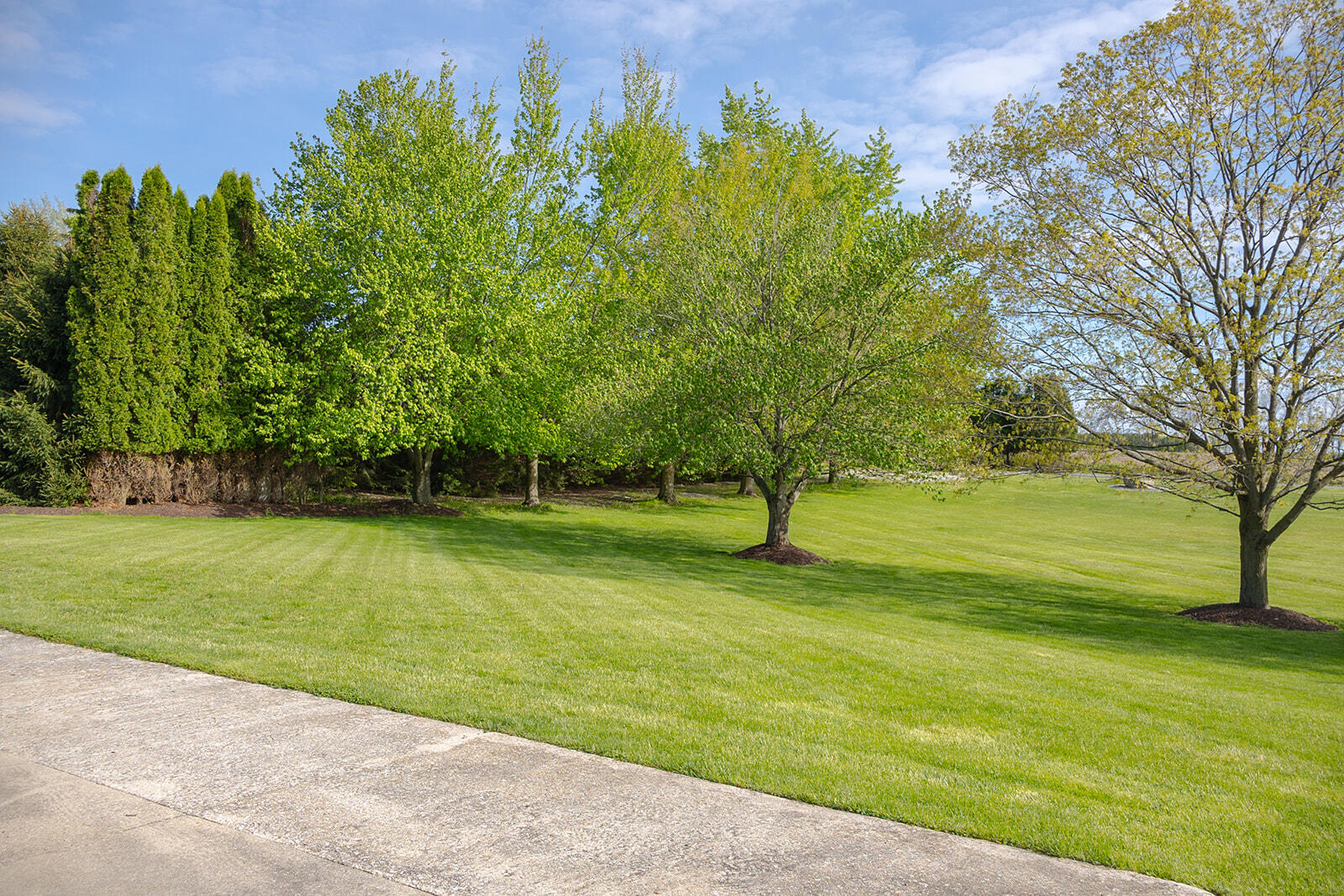 5251 Spring Creek Road Property Photo 34
