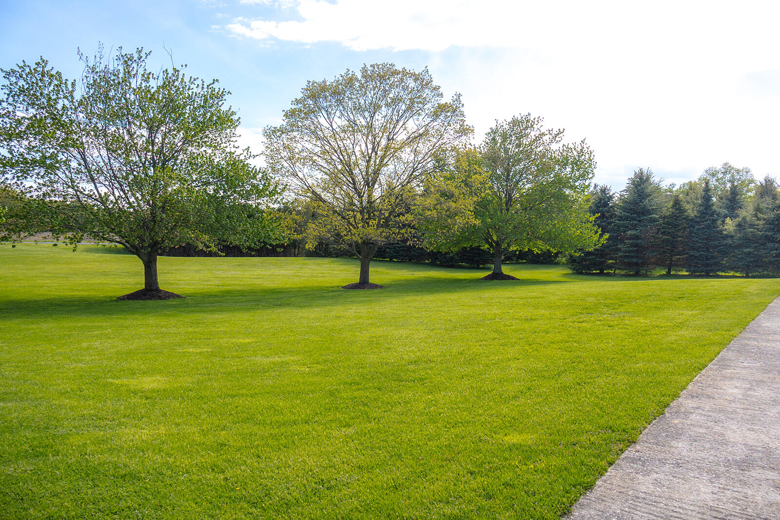 5251 Spring Creek Road Property Photo 35