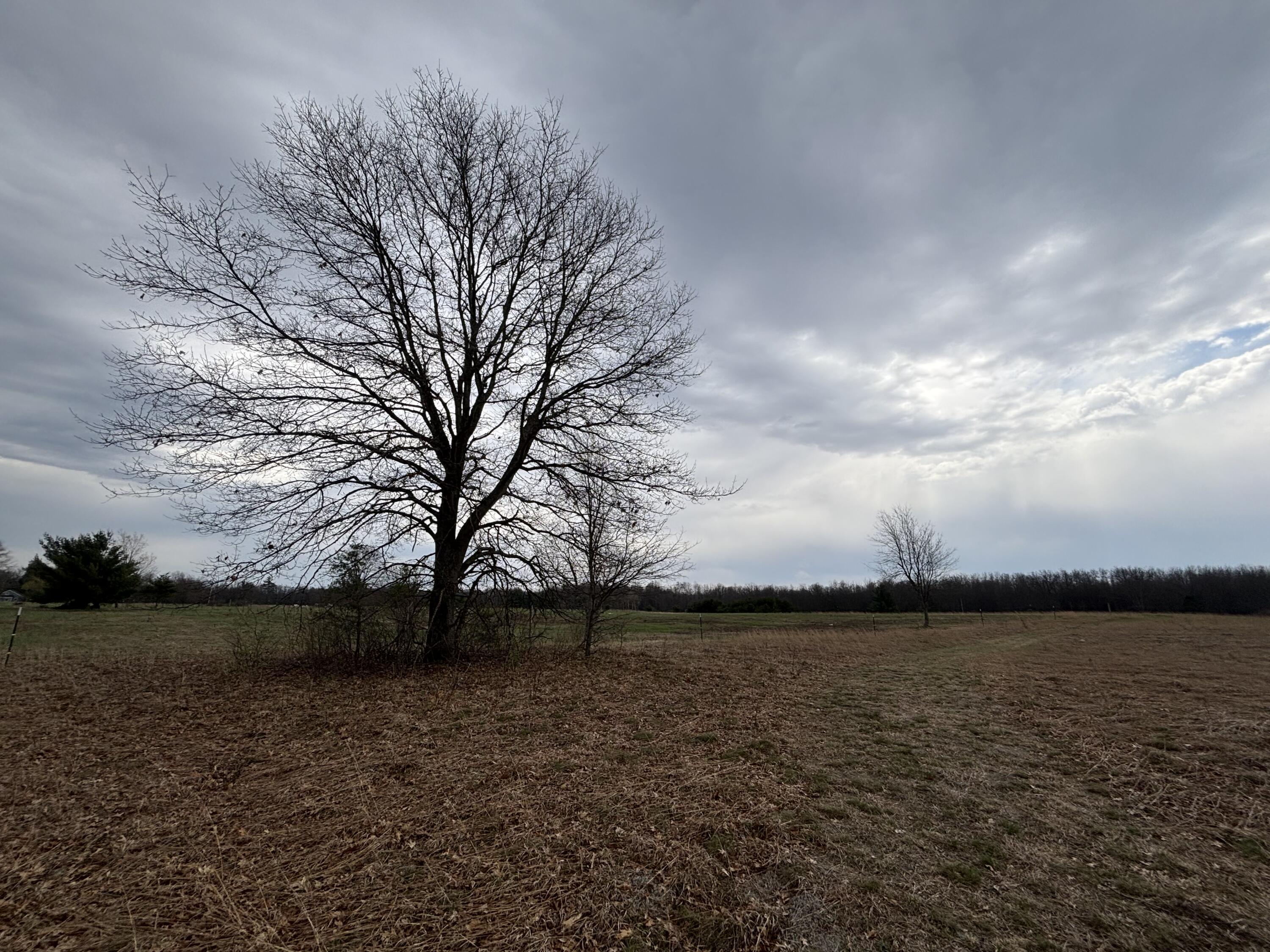 5771 N Woodbridge Road Property Photo 46