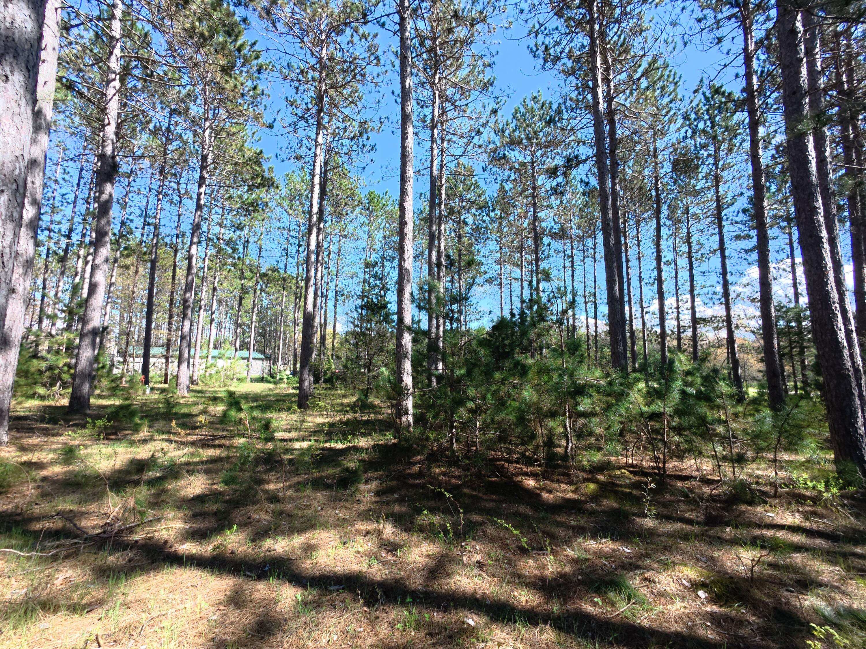 16880 Vondra Road Property Photo 15