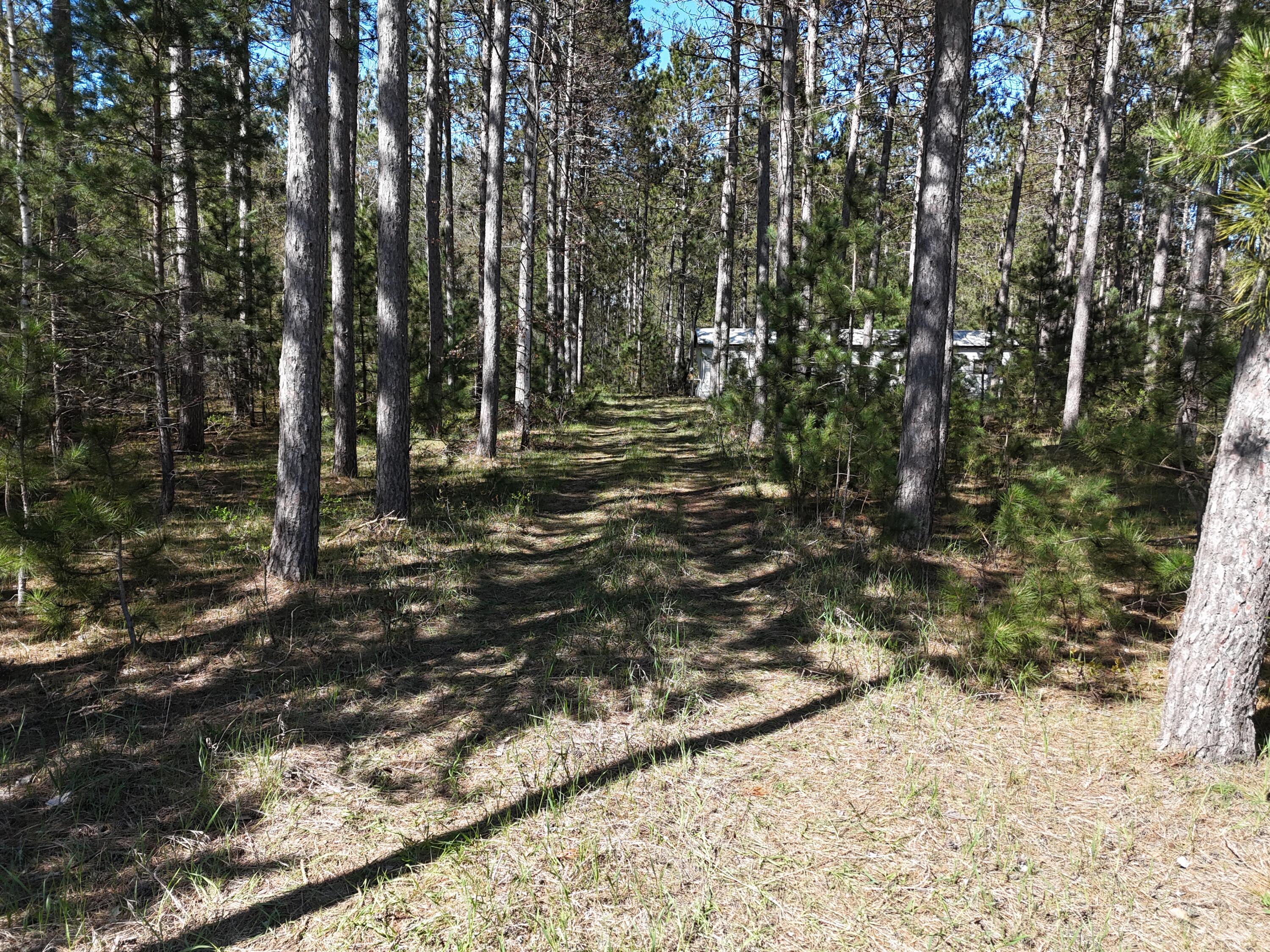 16880 Vondra Road Property Photo 23