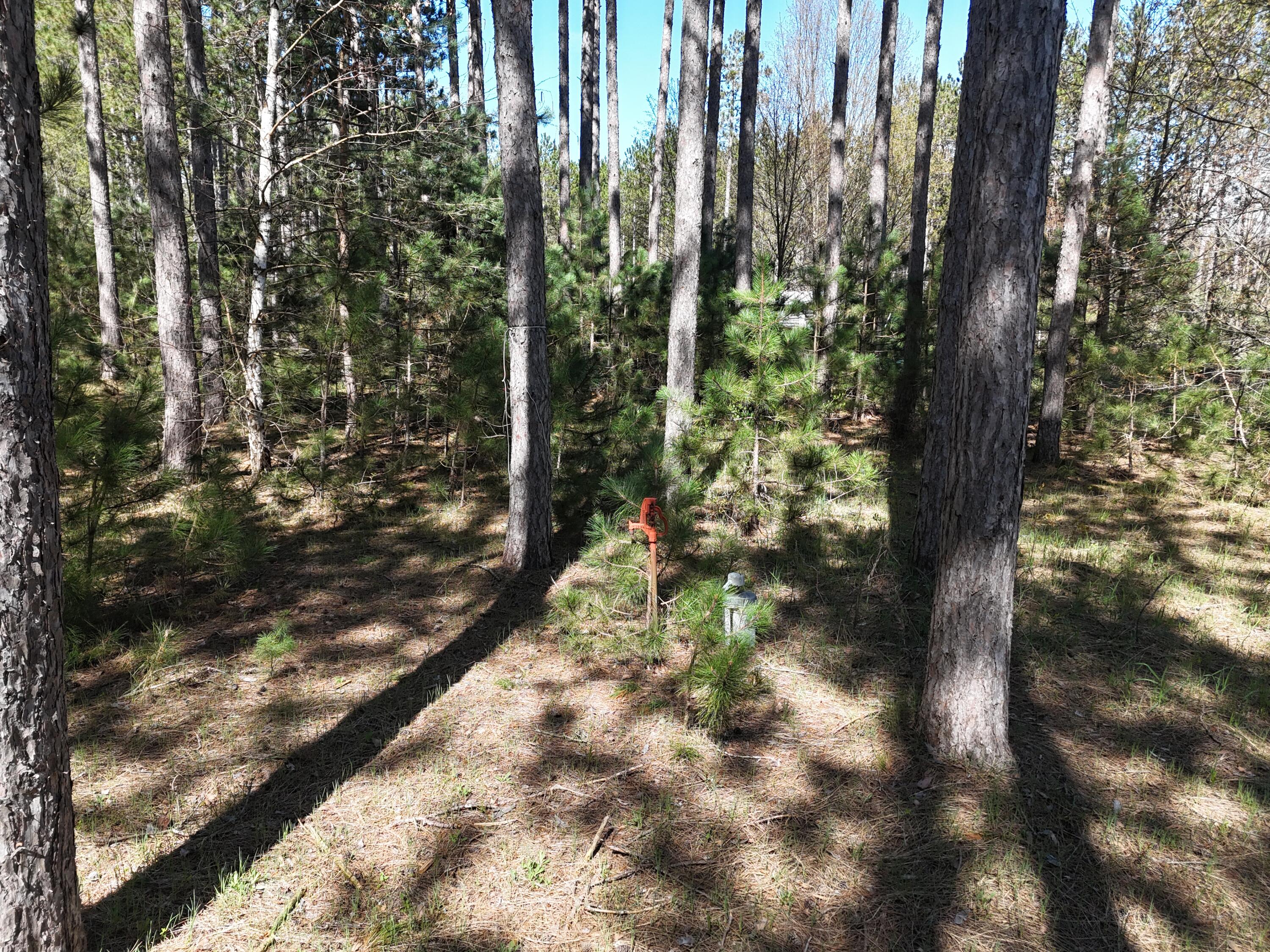 16880 Vondra Road Property Photo 29