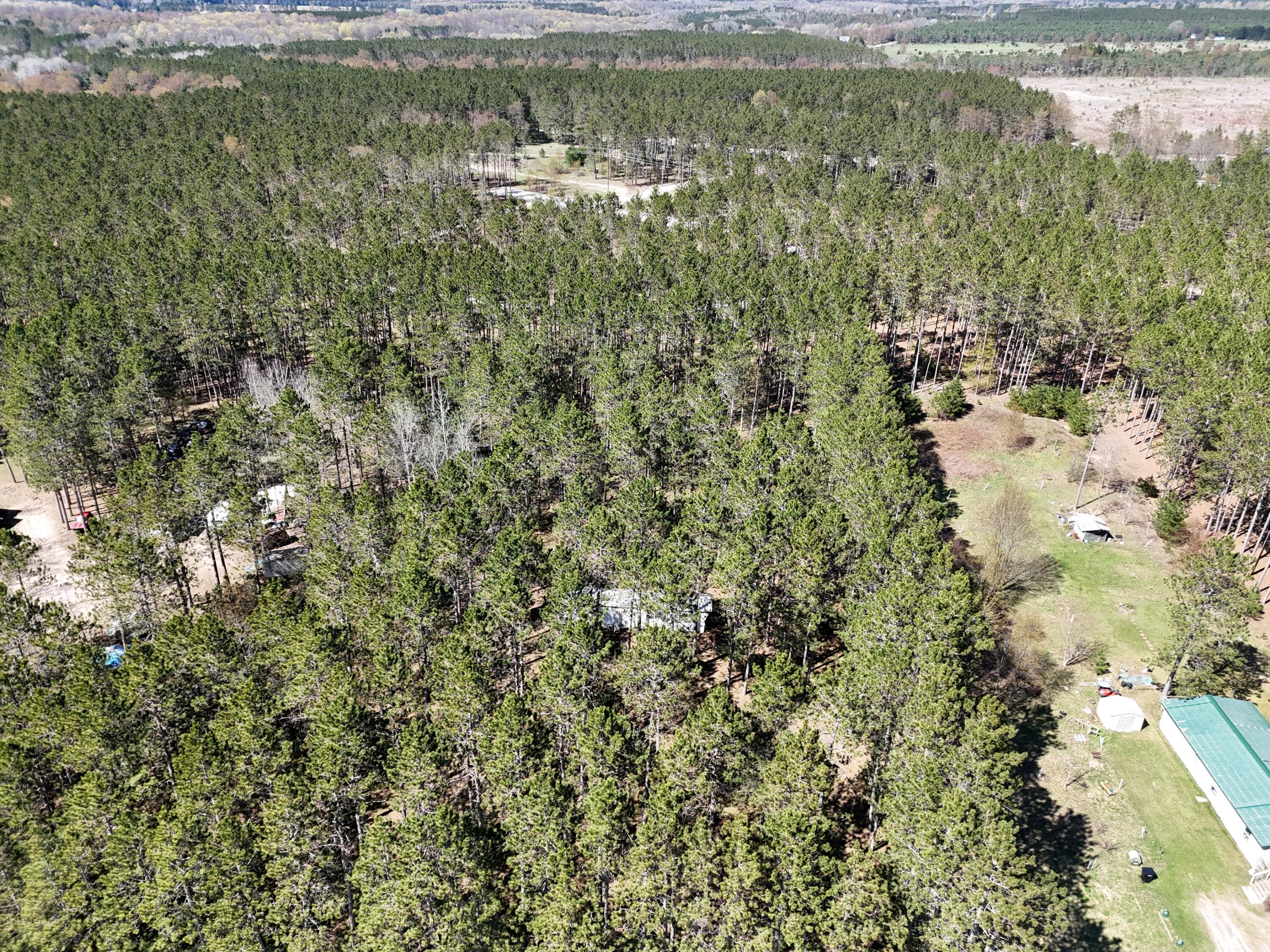 16880 Vondra Road Property Photo 31