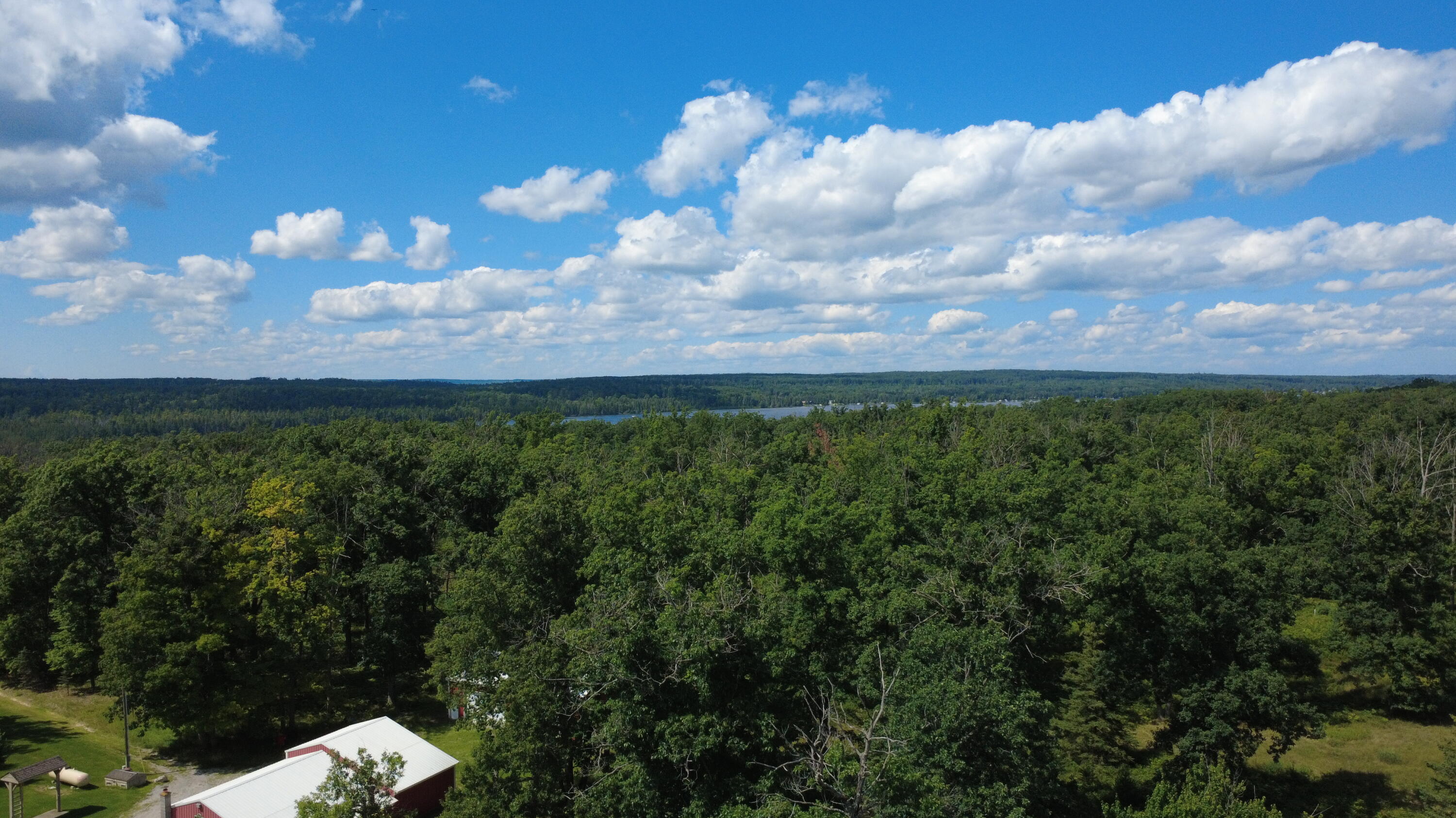 10838 Broad Road Property Photo 4