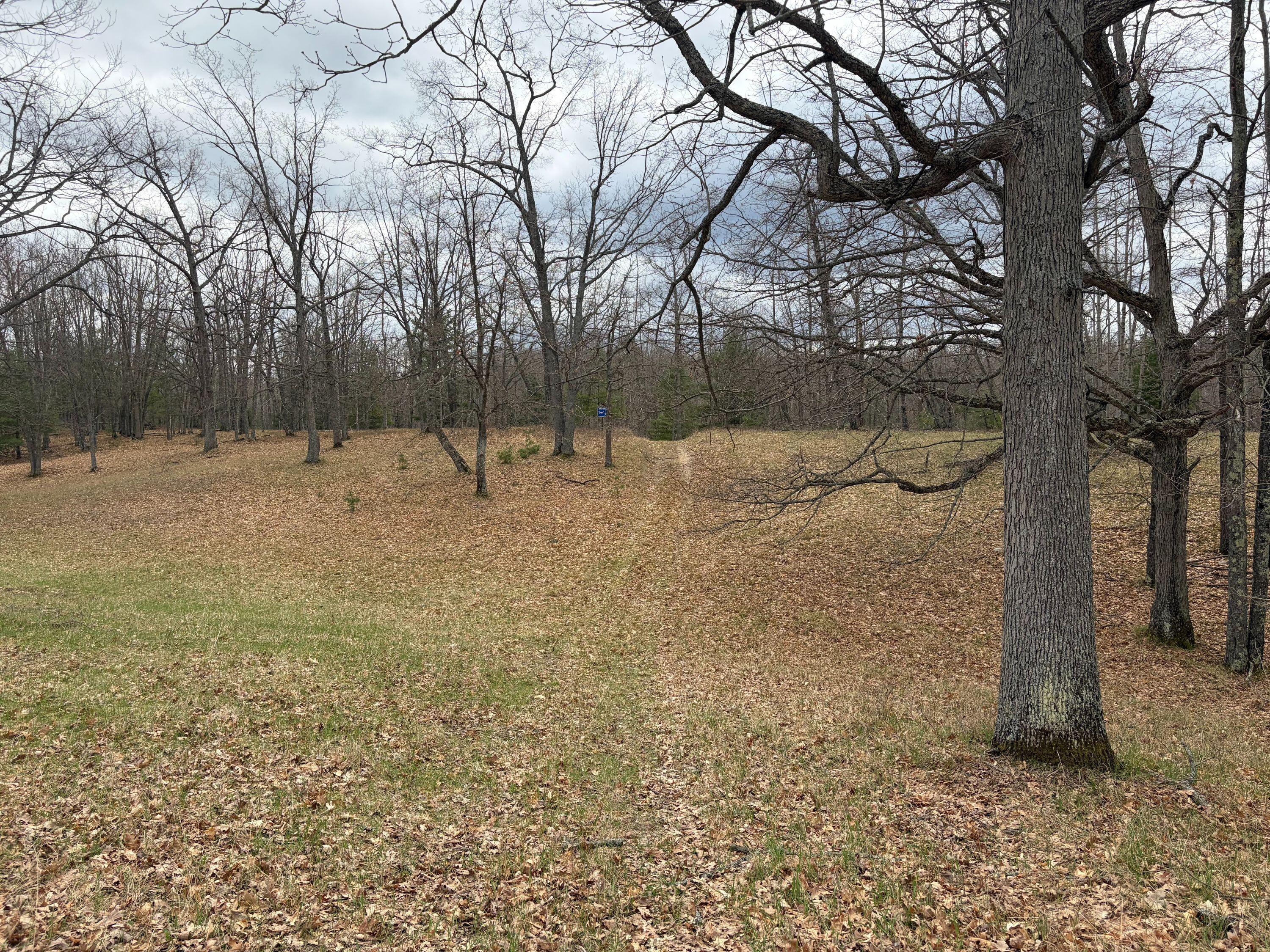 10838 Broad Road Property Photo 73
