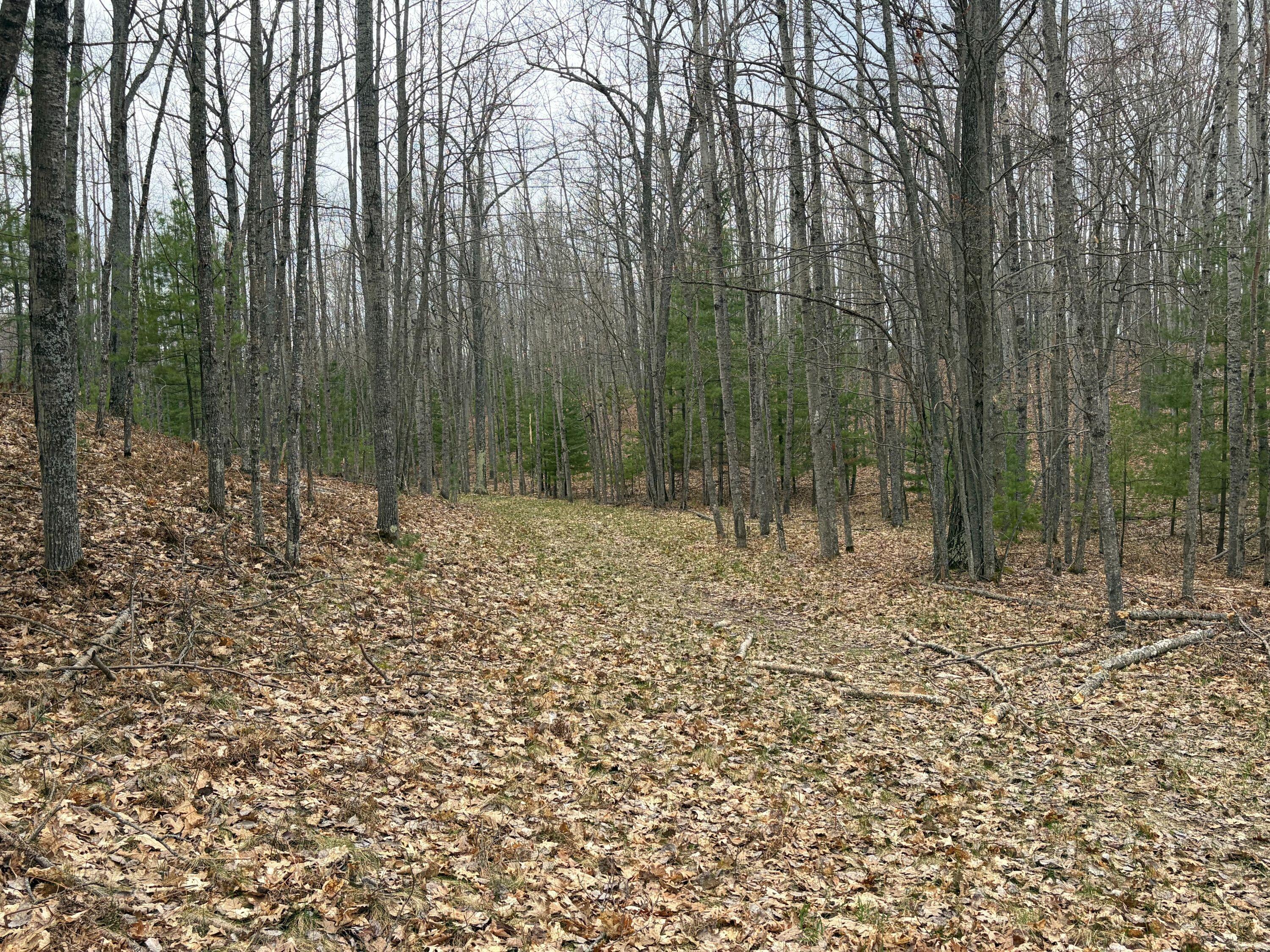 10838 Broad Road Property Photo 76