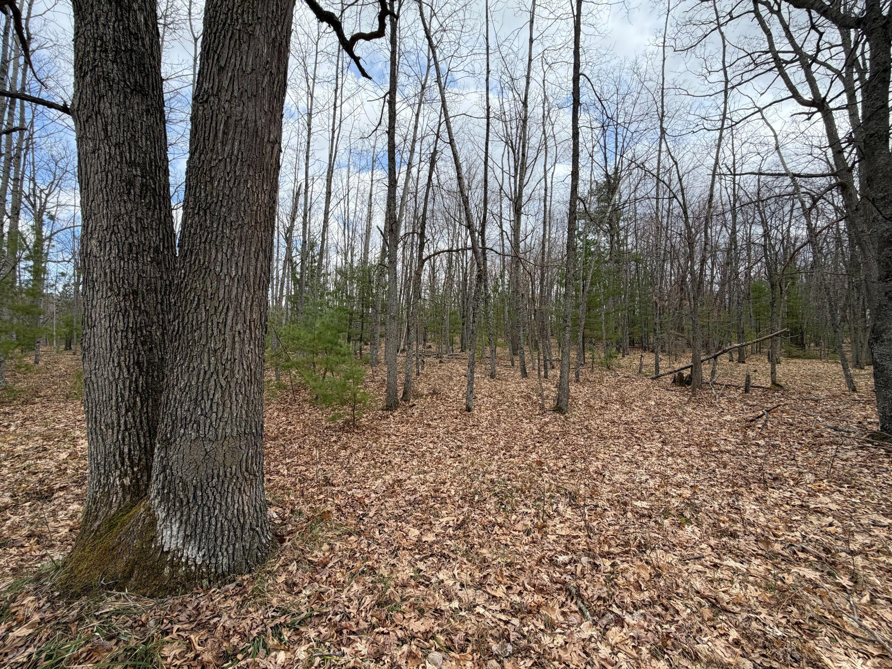 10838 Broad Road Property Photo 79