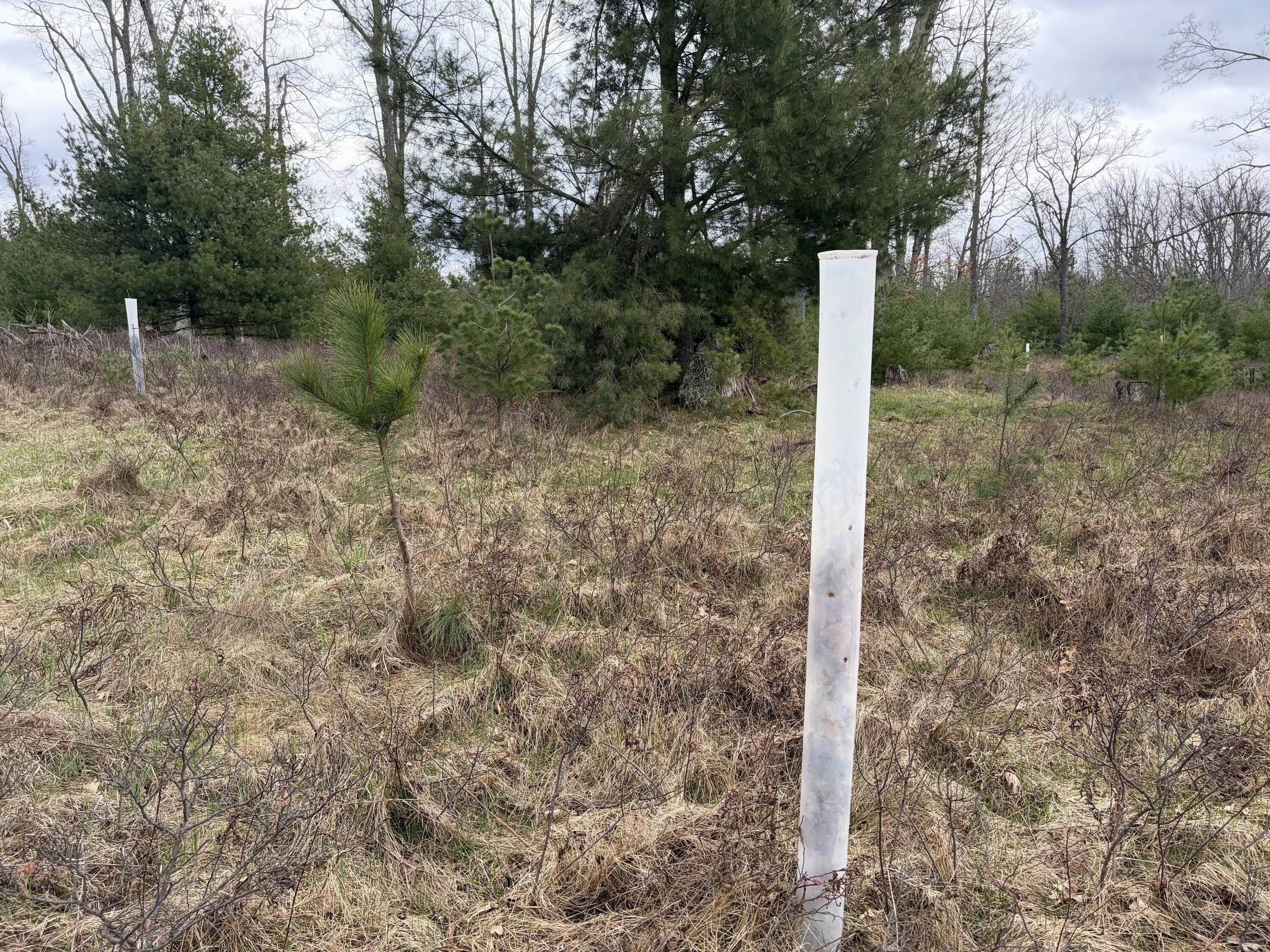 10838 Broad Road Property Photo 87