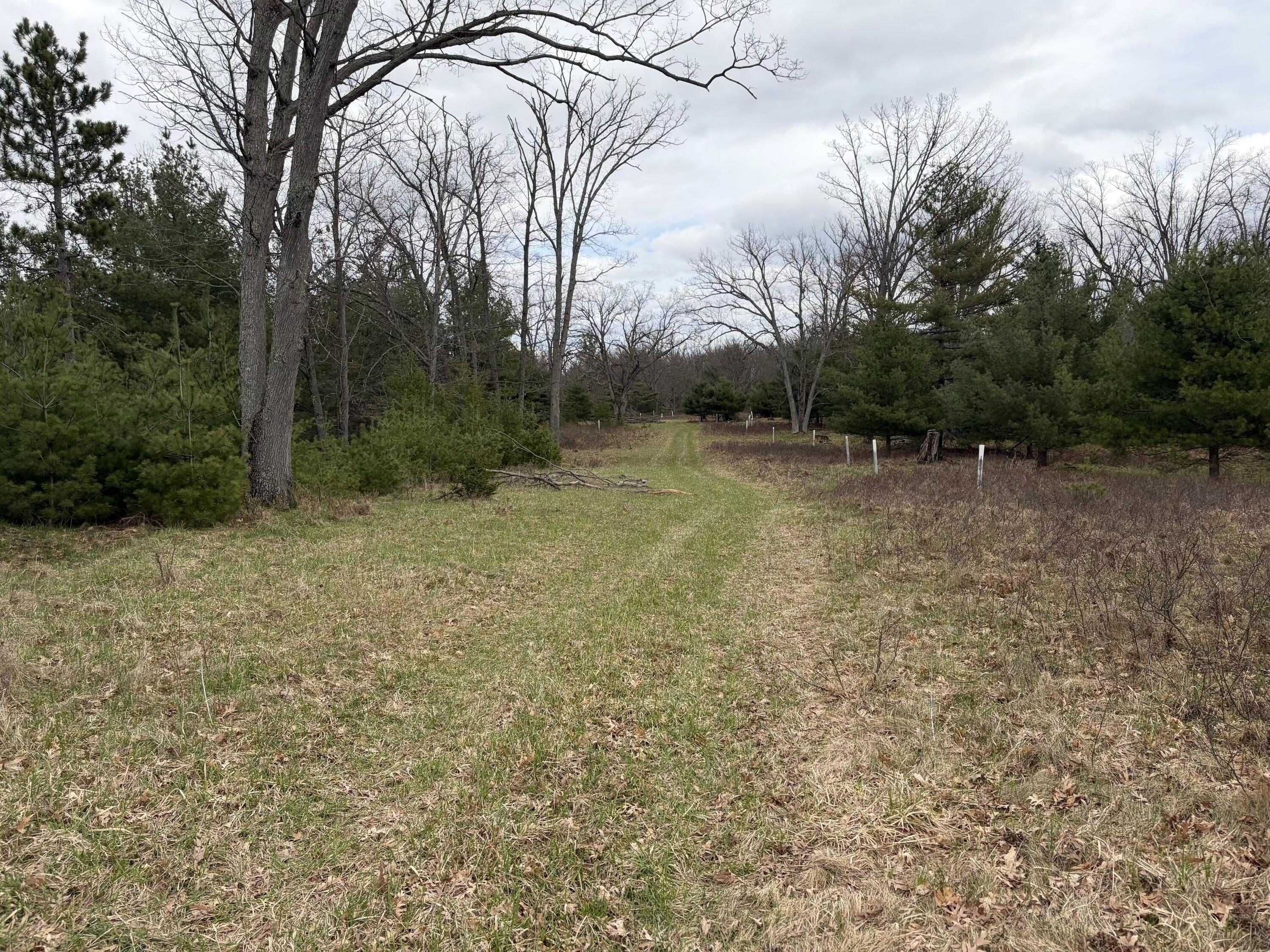 10838 Broad Road Property Photo 91