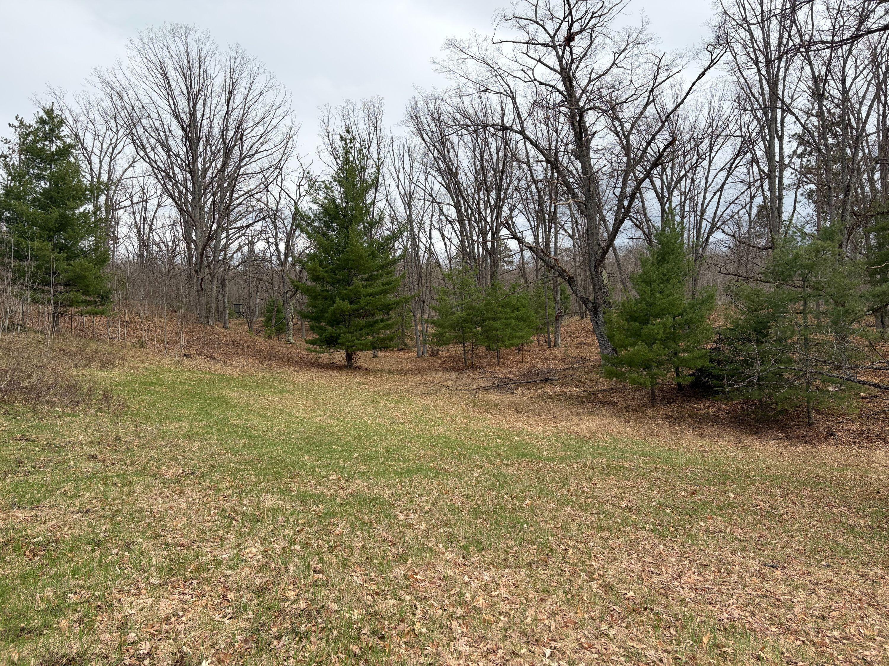 10838 Broad Road Property Photo 94