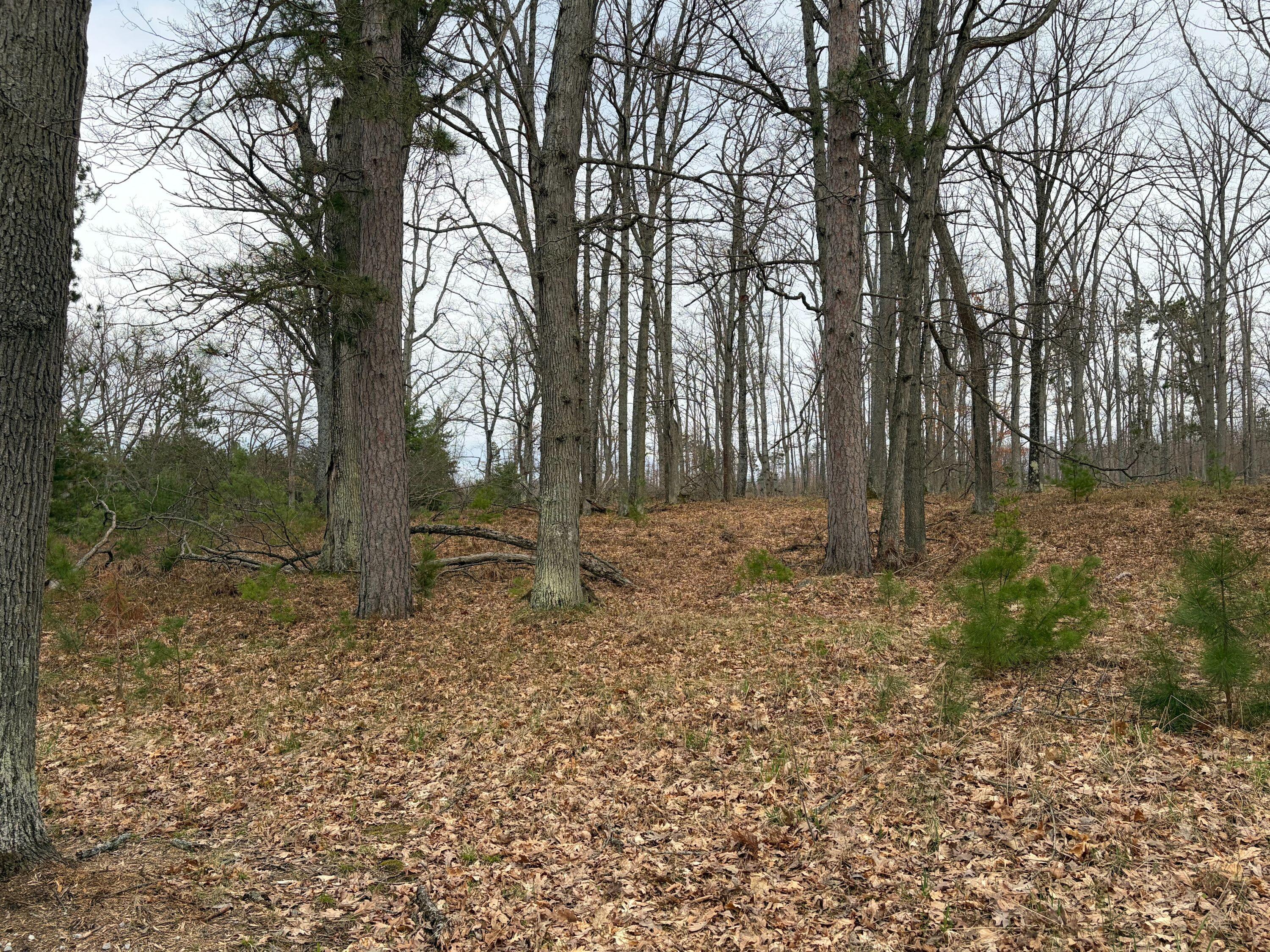 10838 Broad Road Property Photo 96