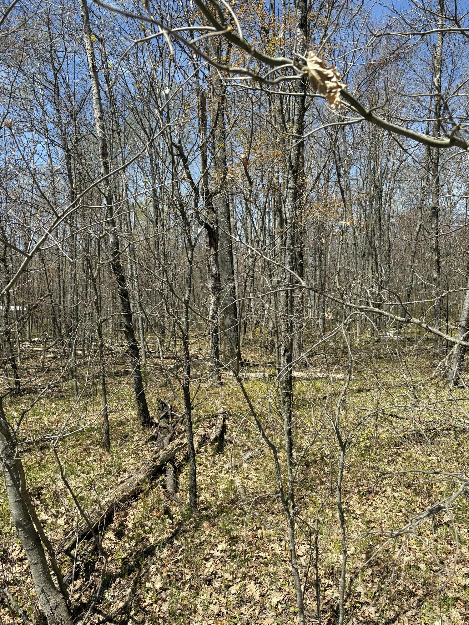 V/l Shadowbrook Drive Property Photo 1