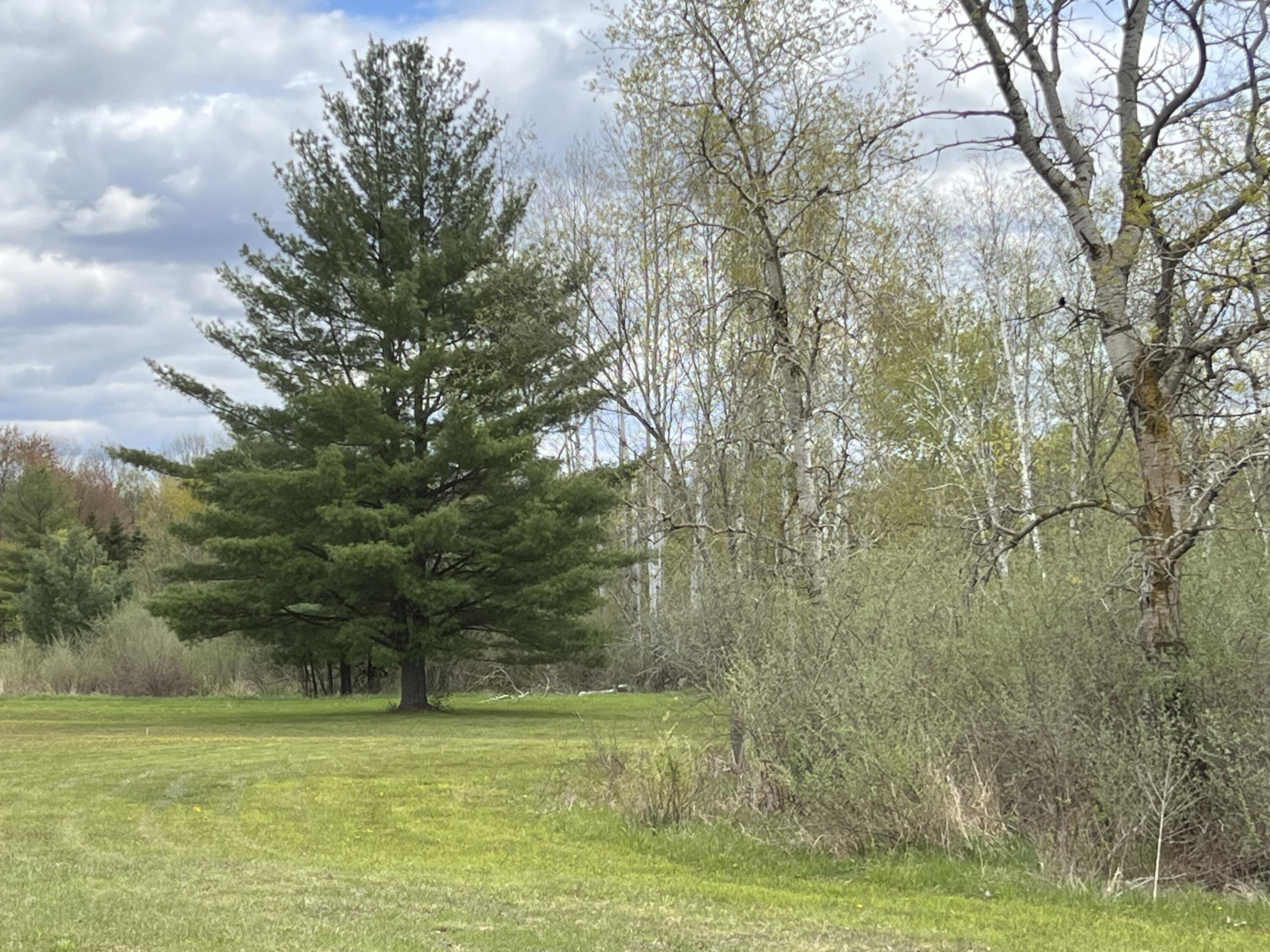 11148 N Satterlee Road Property Photo 4