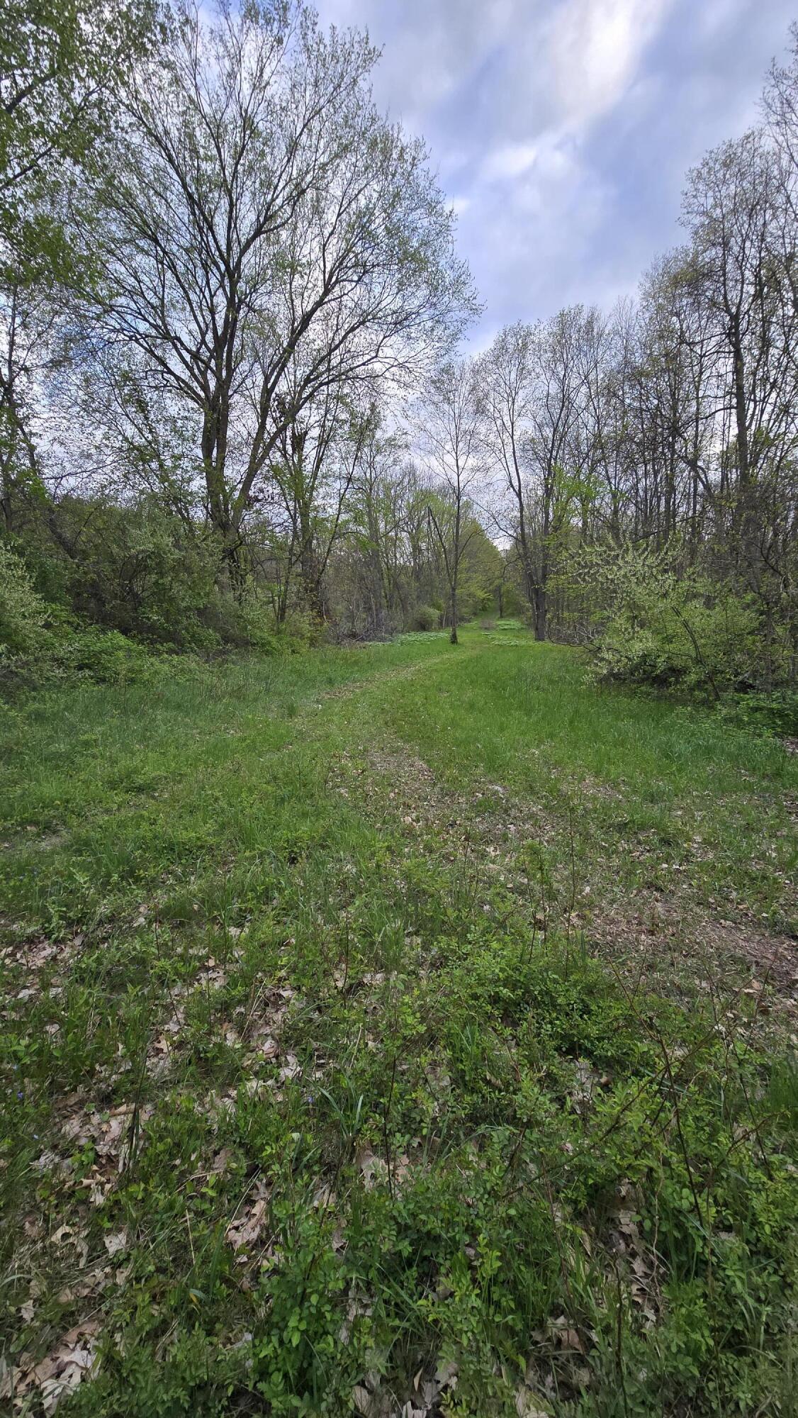 690 Pierce Road Property Photo 11