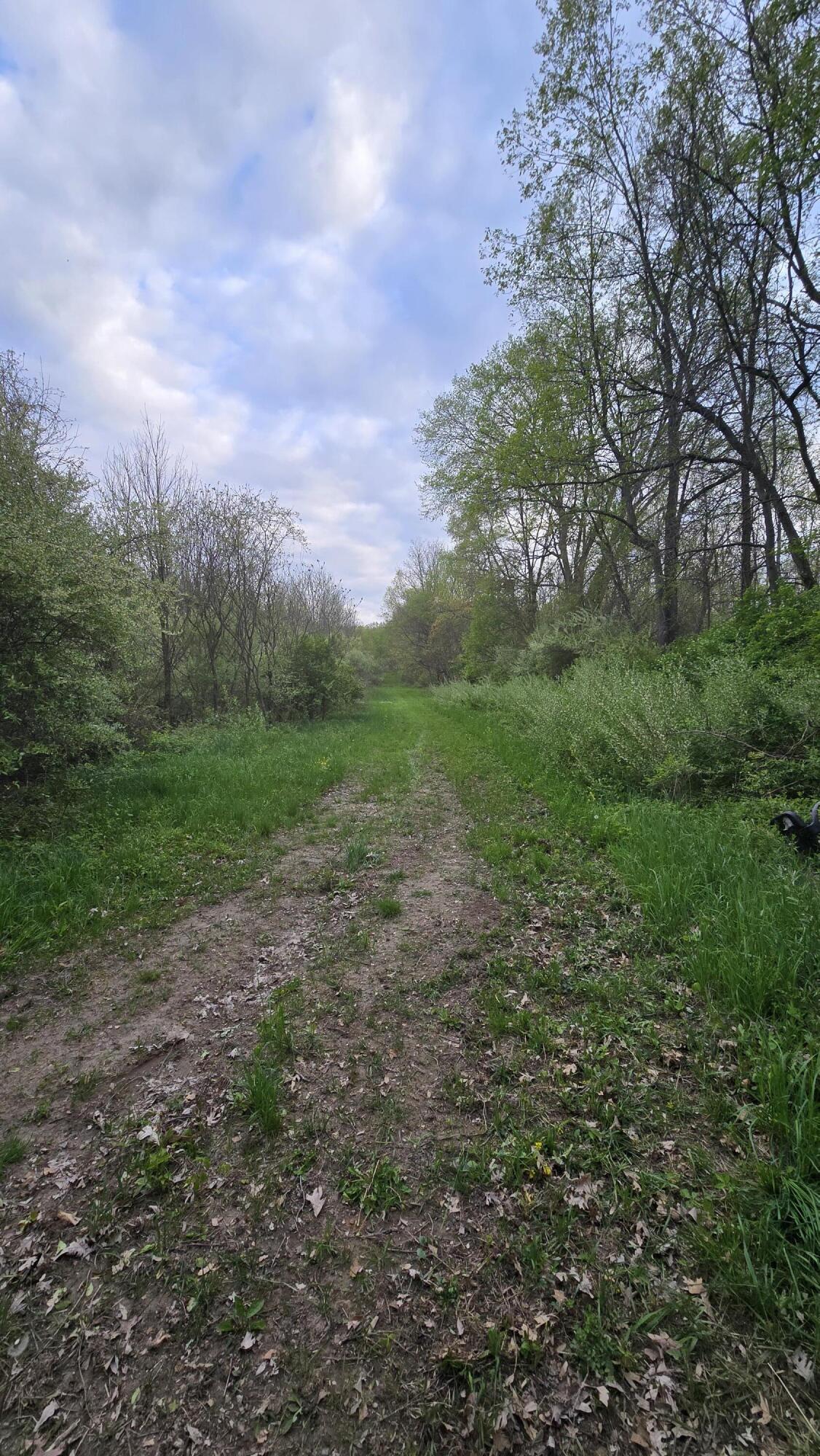 690 Pierce Road Property Photo 12