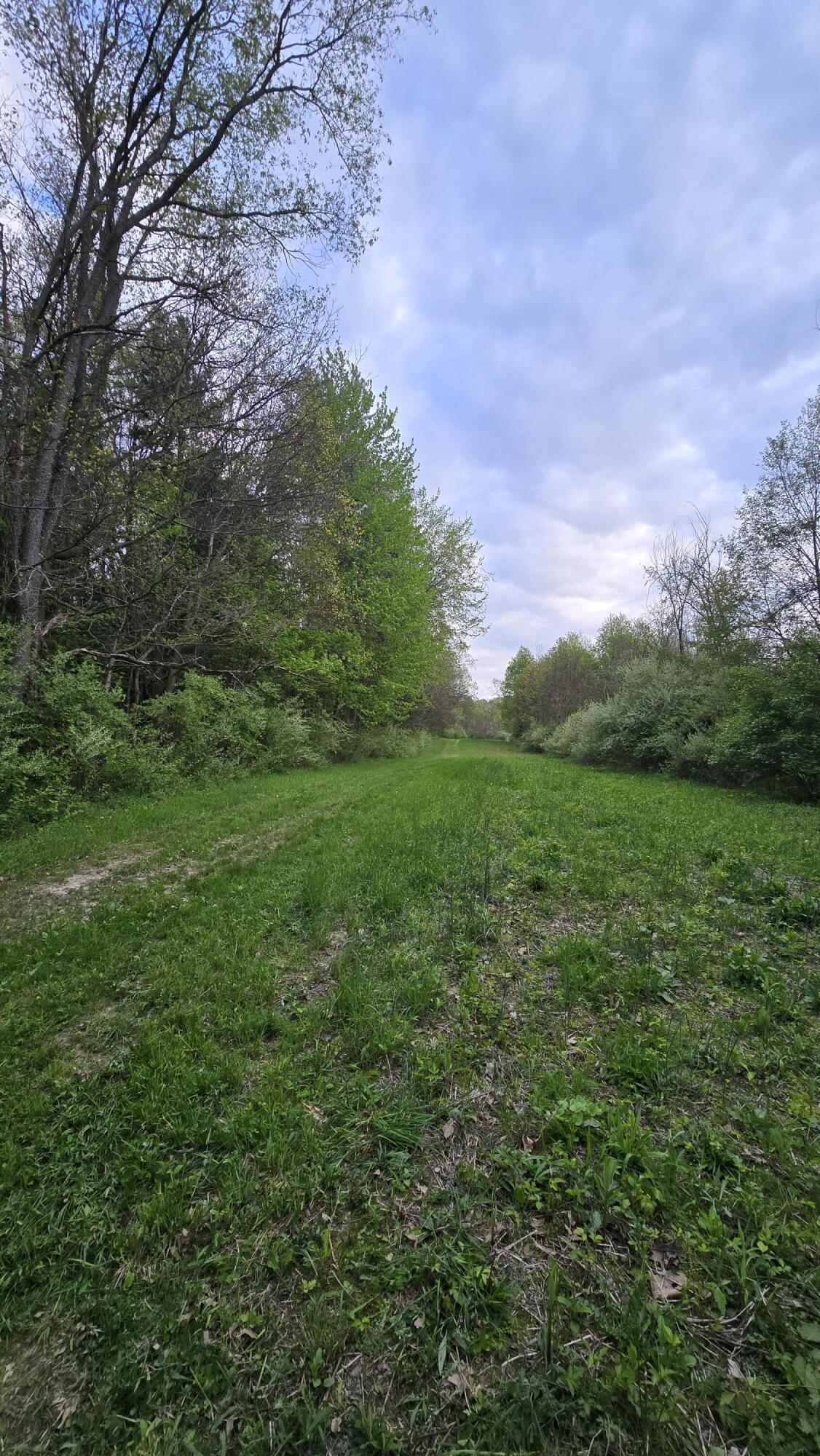 690 Pierce Road Property Photo 13