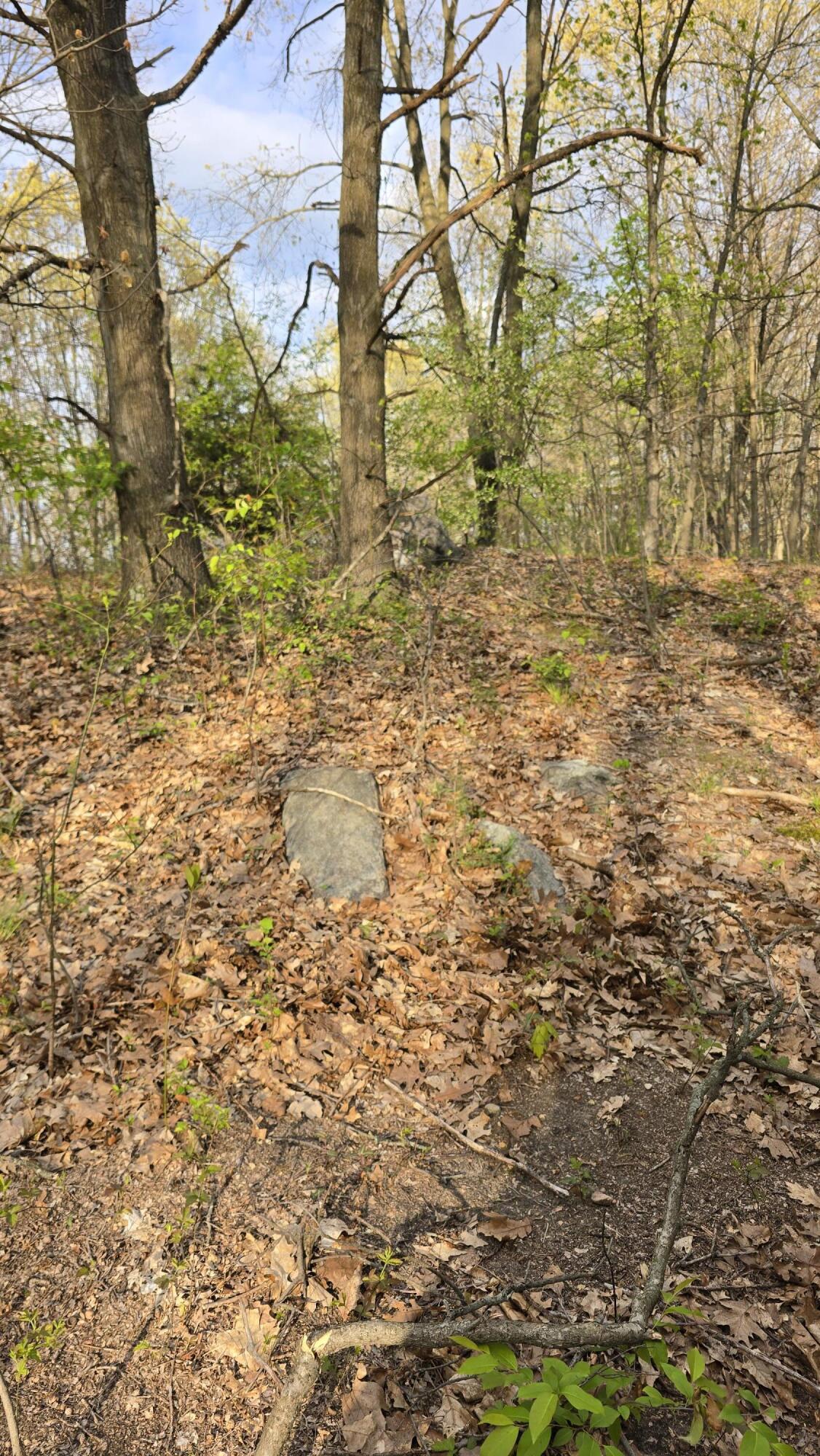 690 Pierce Road Property Photo 18