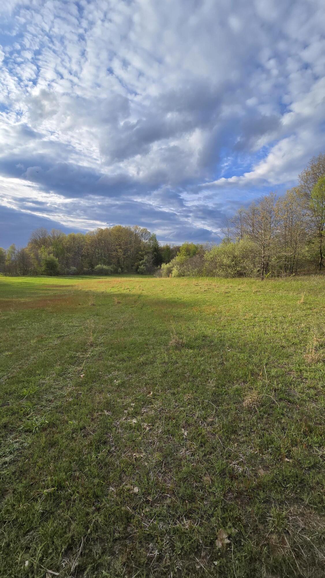 690 Pierce Road Property Photo 28