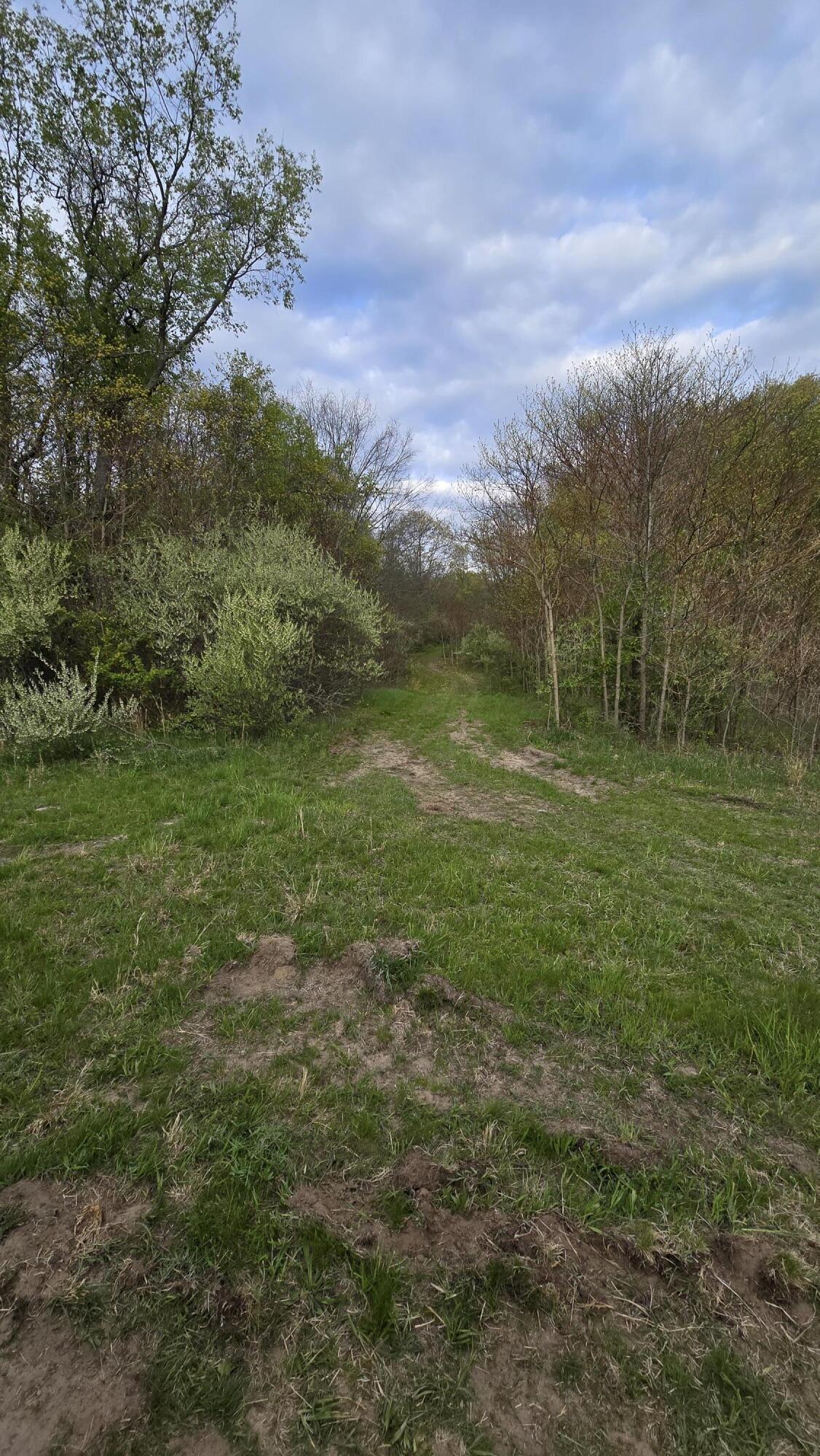 690 Pierce Road Property Photo 30