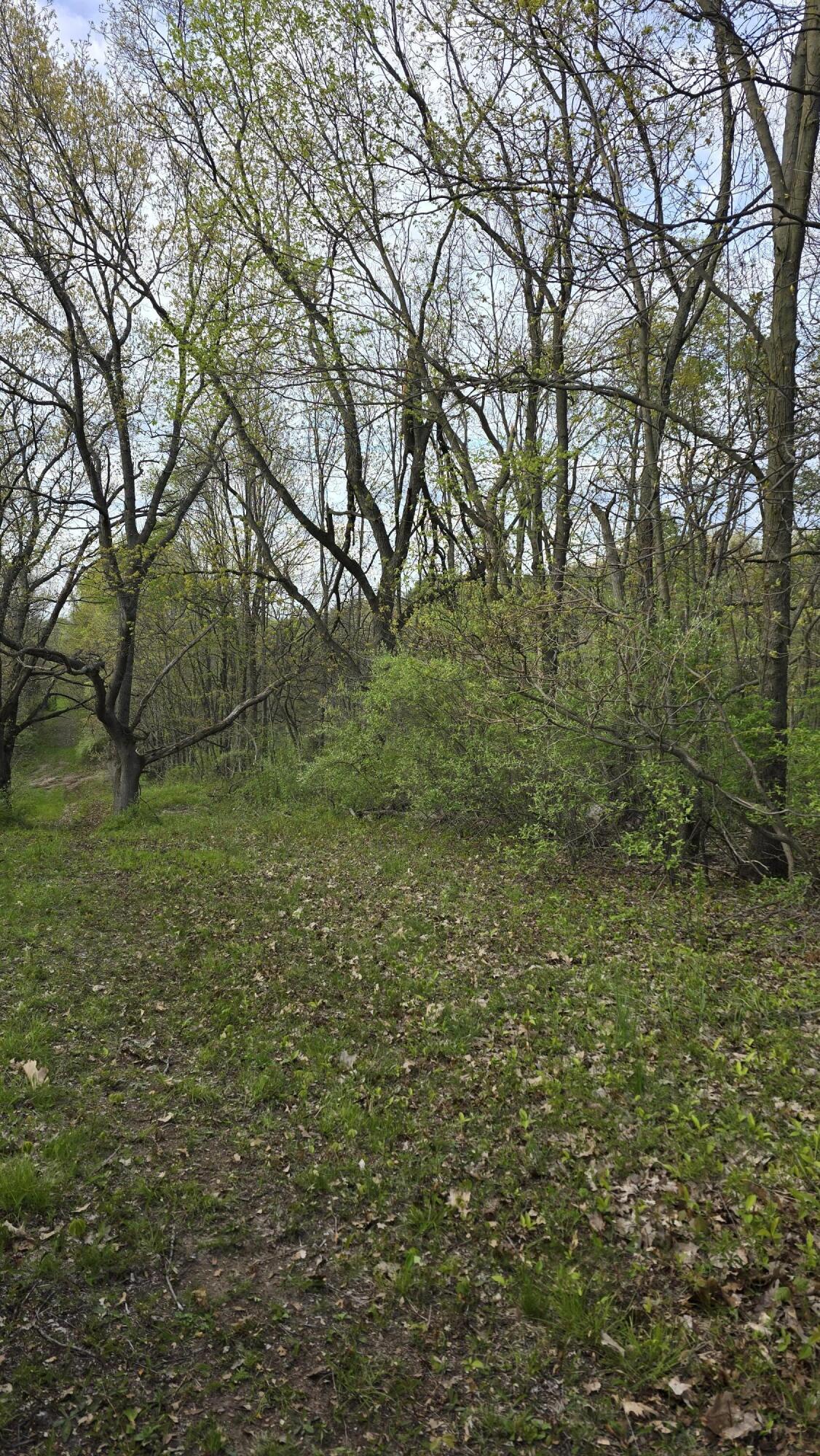 690 Pierce Road Property Photo 33