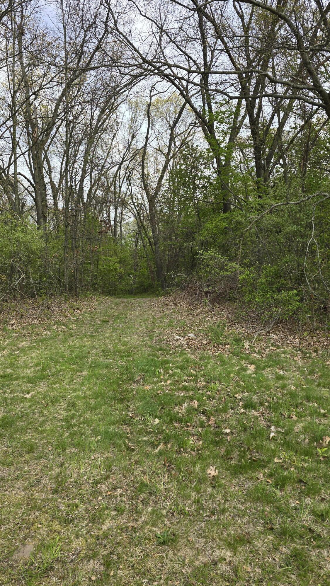 690 Pierce Road Property Photo 41