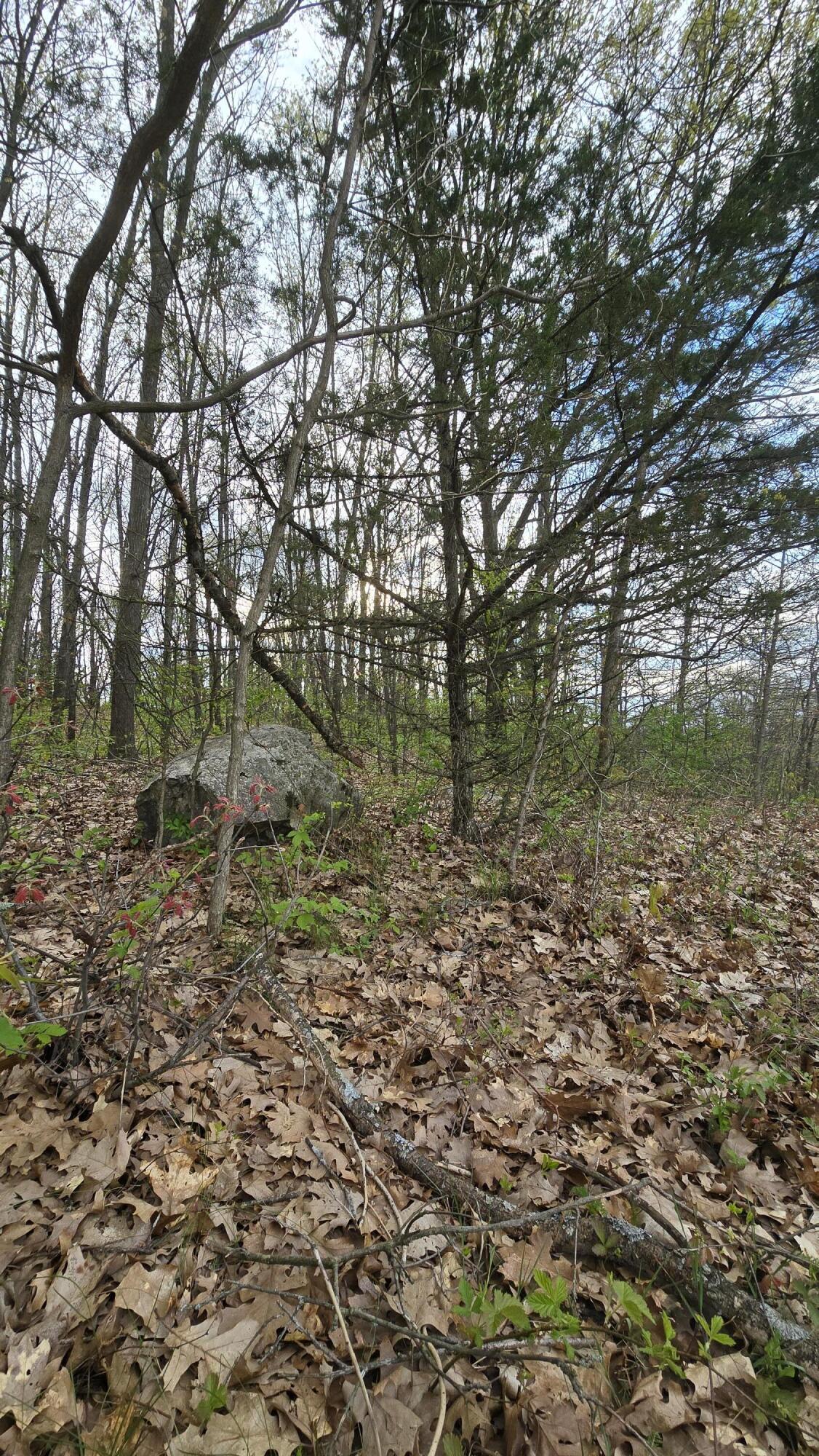 690 Pierce Road Property Photo 45