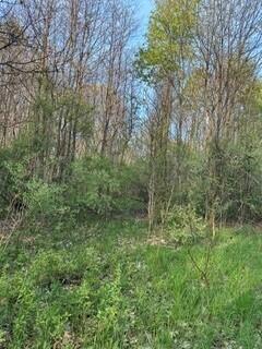 690 Pierce Road Property Photo 54