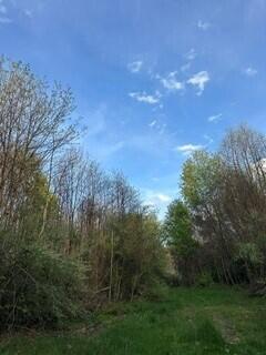690 Pierce Road Property Photo 55
