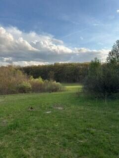 690 Pierce Road Property Photo 59