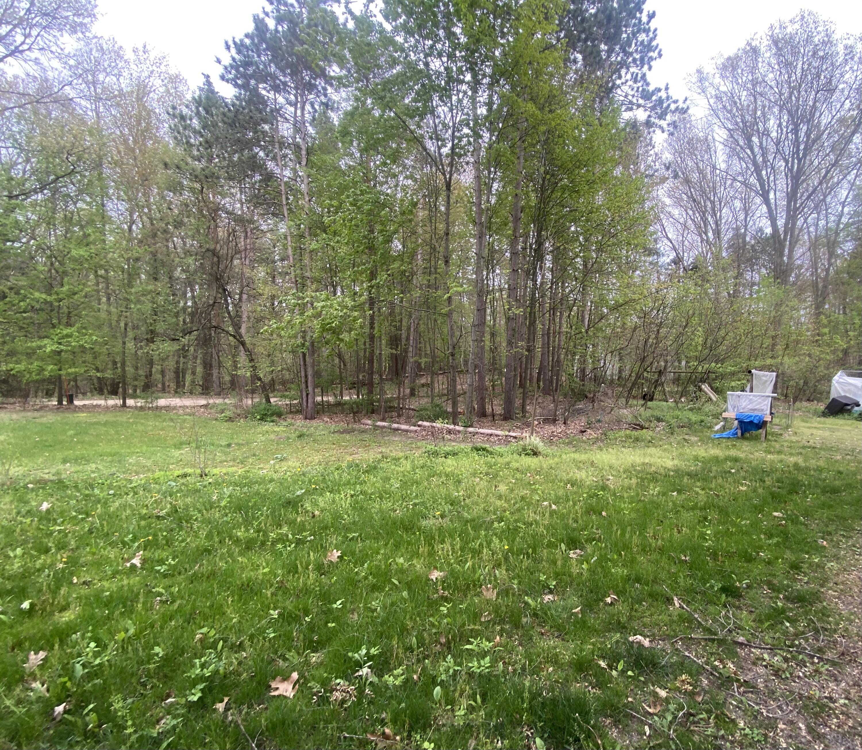 2851 137th Avenue Property Photo 3