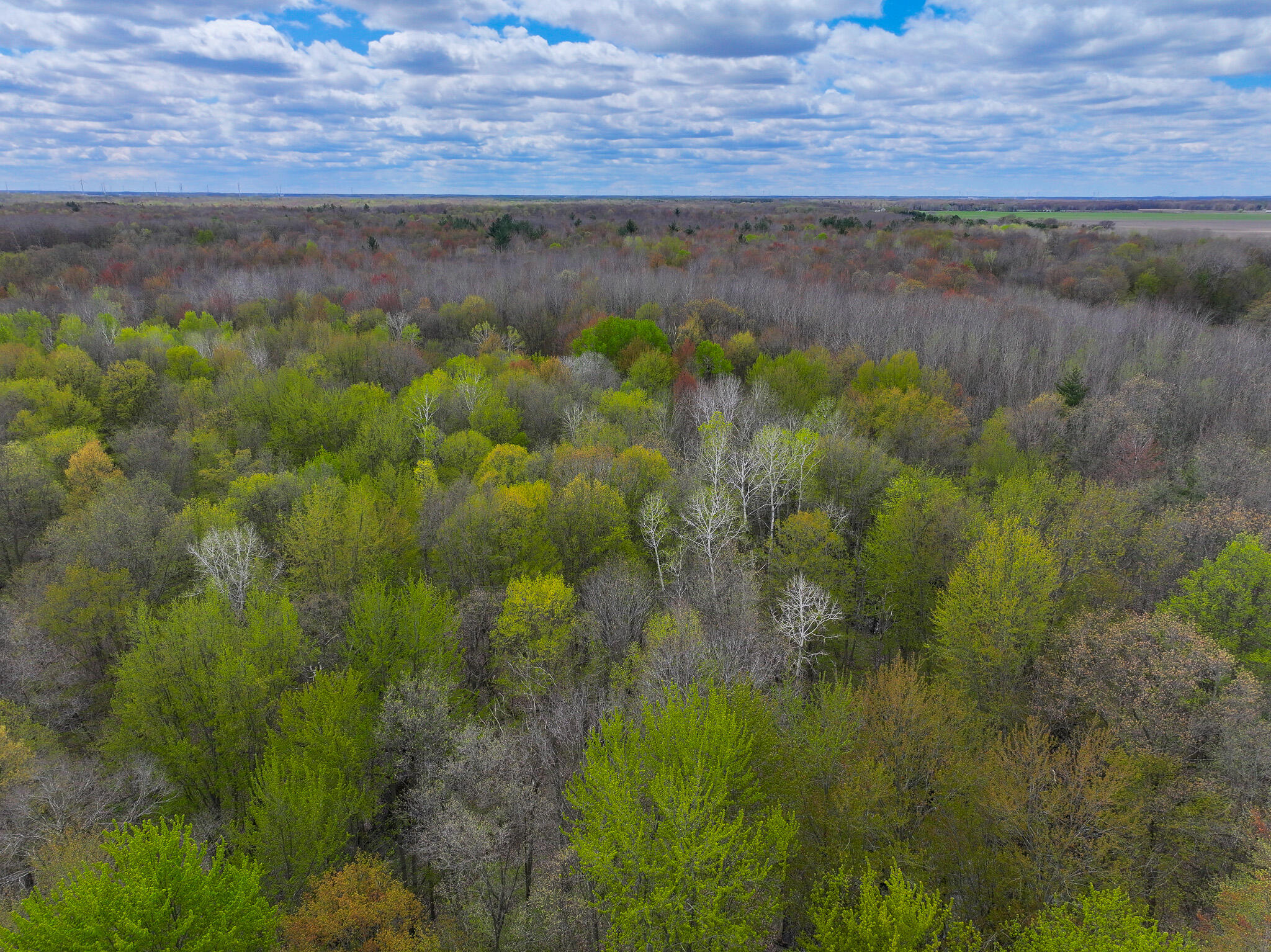 V/l 140a S S Eleven Mile Road Property Photo 32