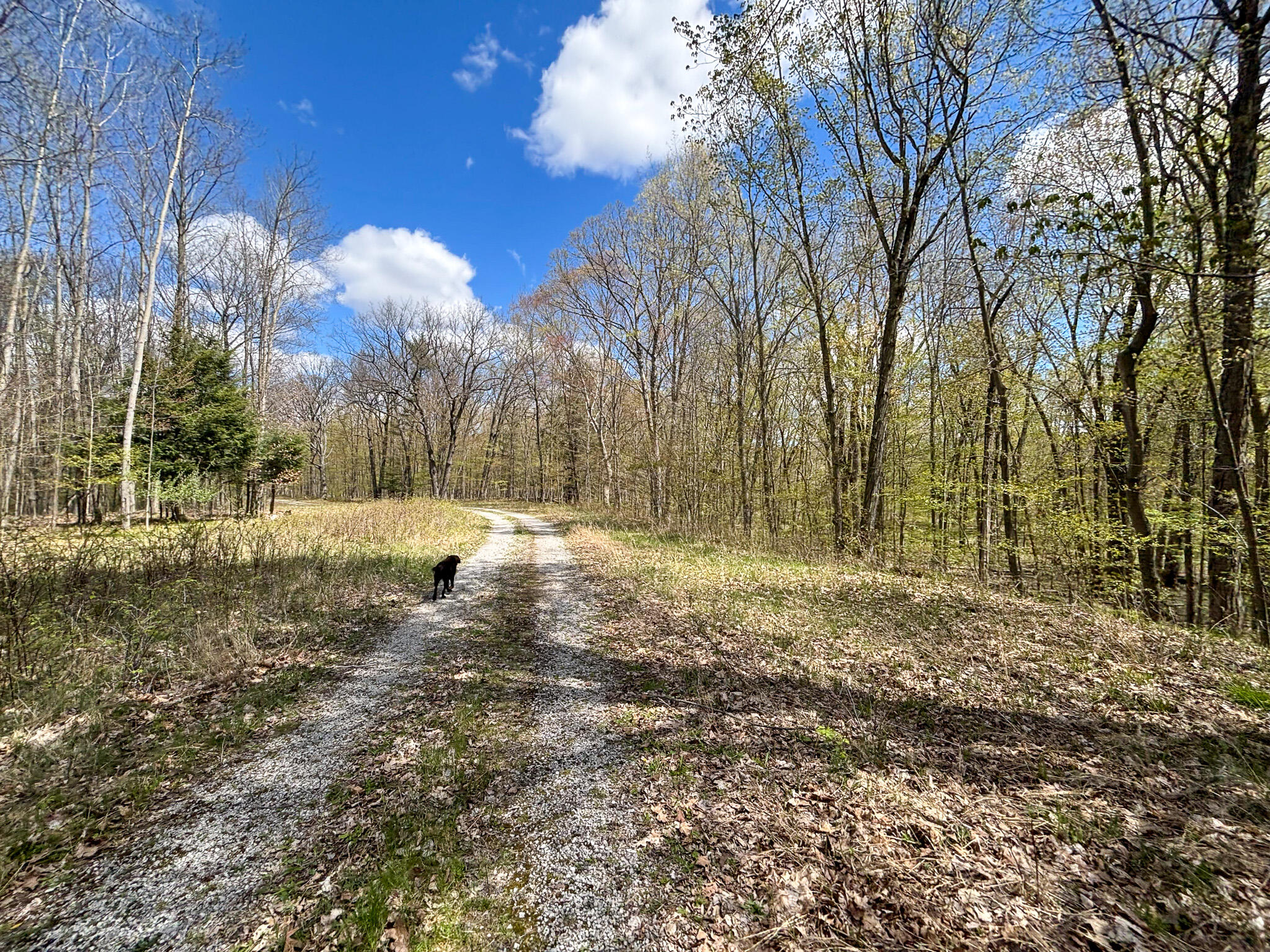V/l 140a S S Eleven Mile Road Property Photo 38