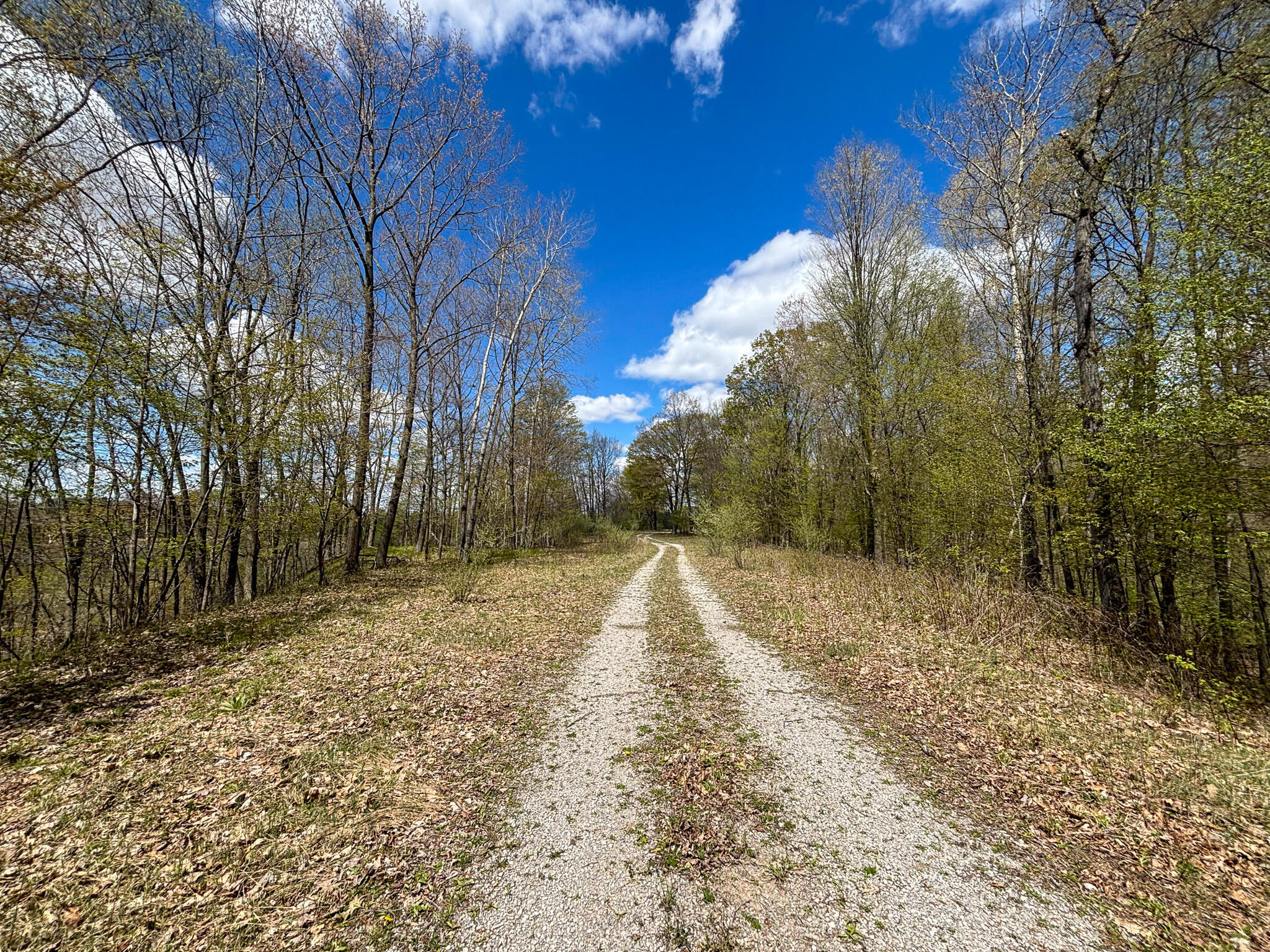 V/l 140a S S Eleven Mile Road Property Photo 40