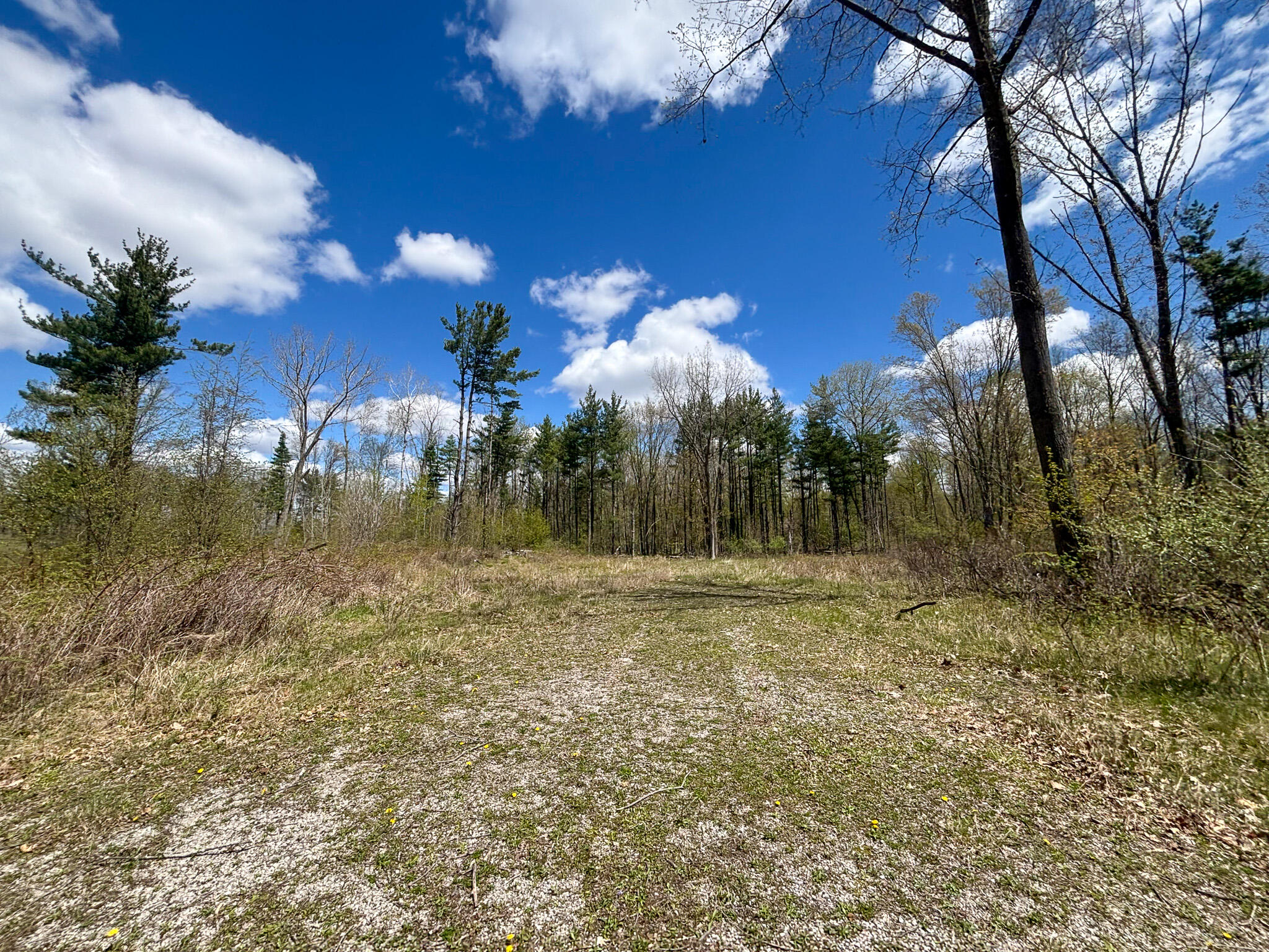 V/l 140a S S Eleven Mile Road Property Photo 42