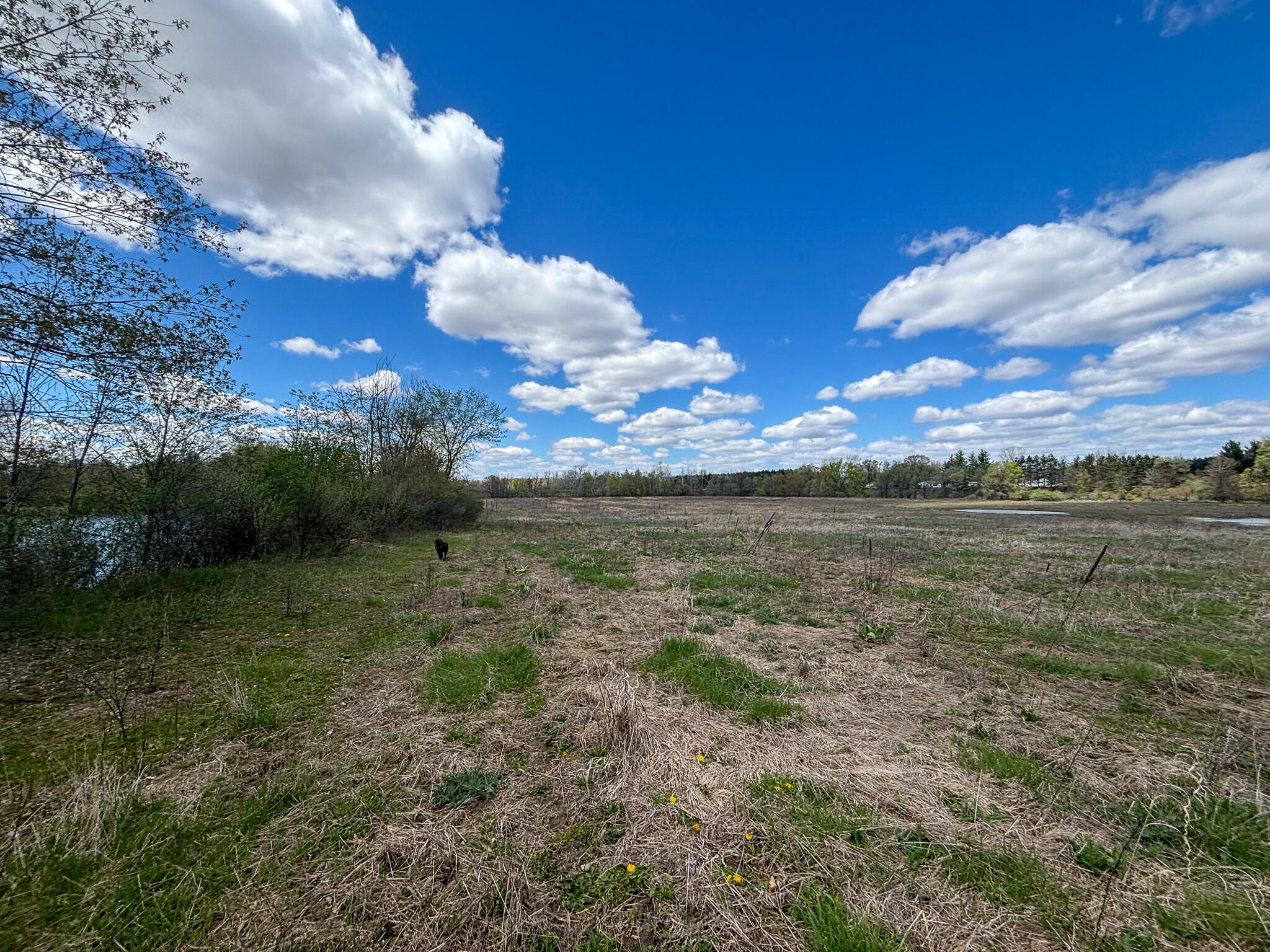 V/l 140a S S Eleven Mile Road Property Photo 45