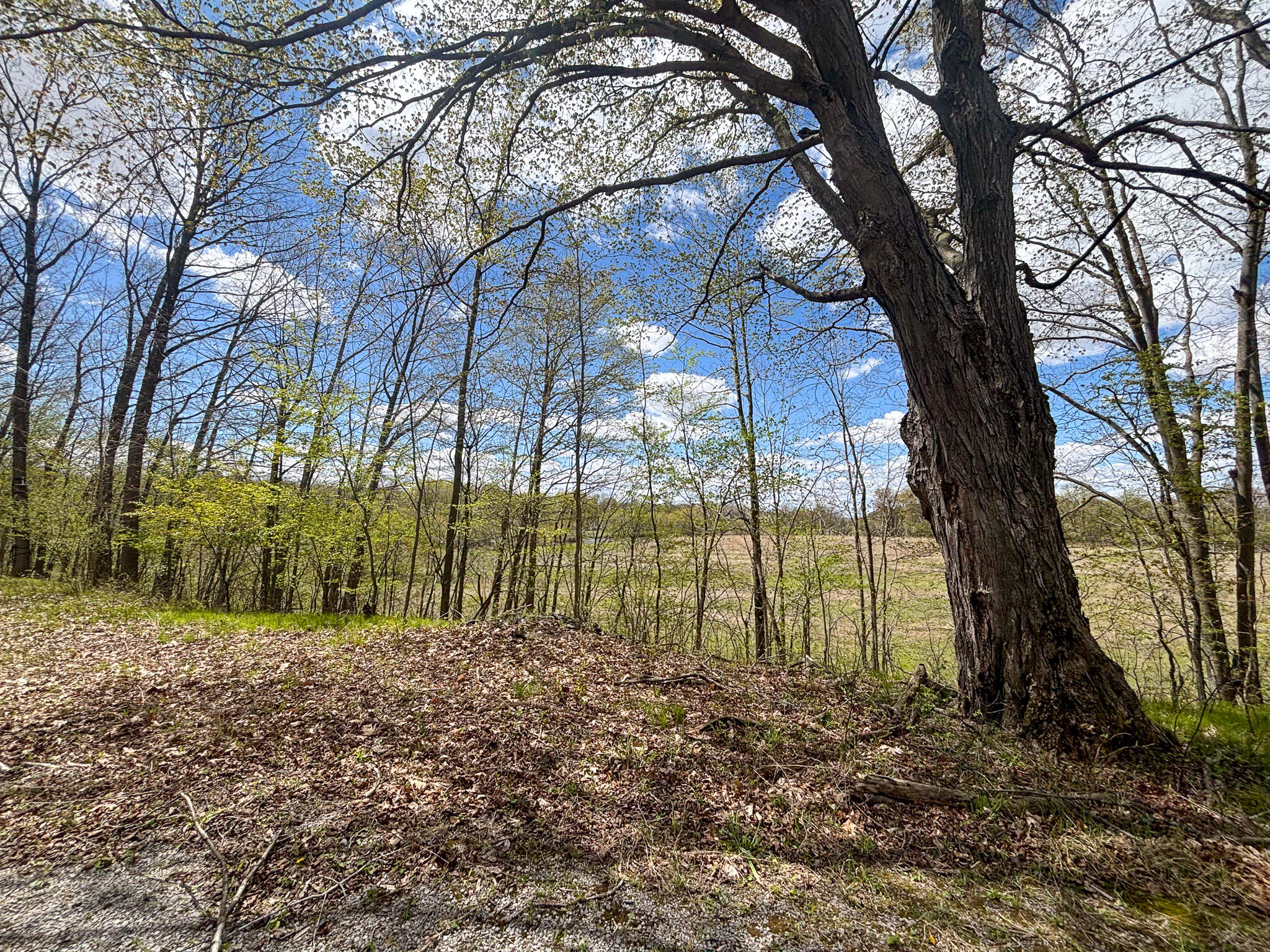 V/l 140a S S Eleven Mile Road Property Photo 50