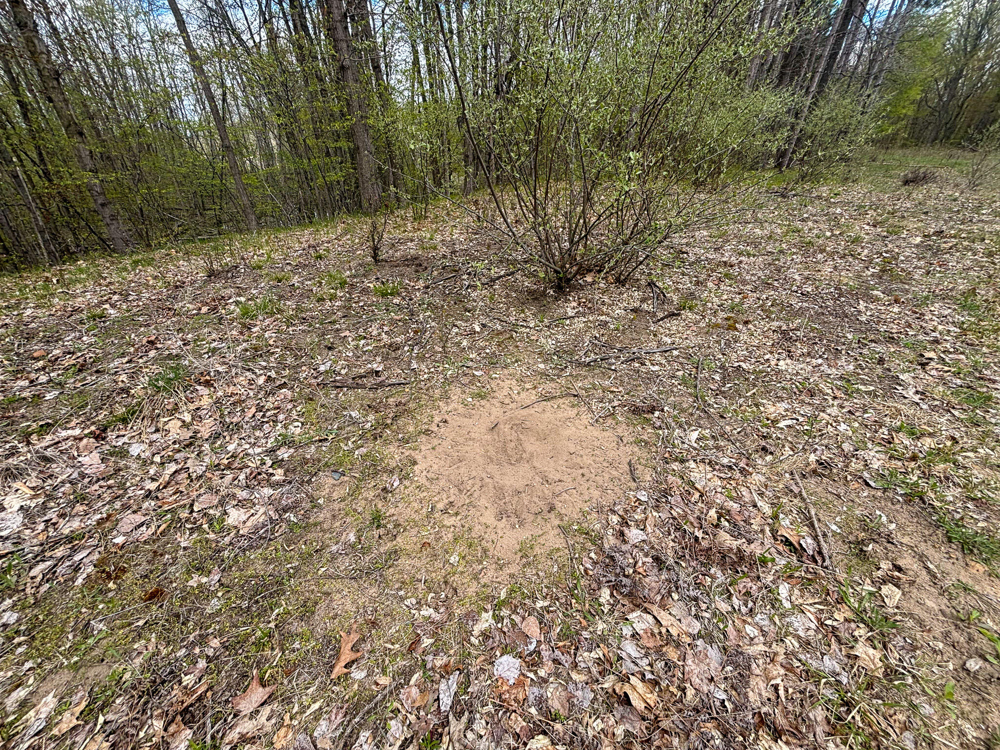 V/l 140a S S Eleven Mile Road Property Photo 54