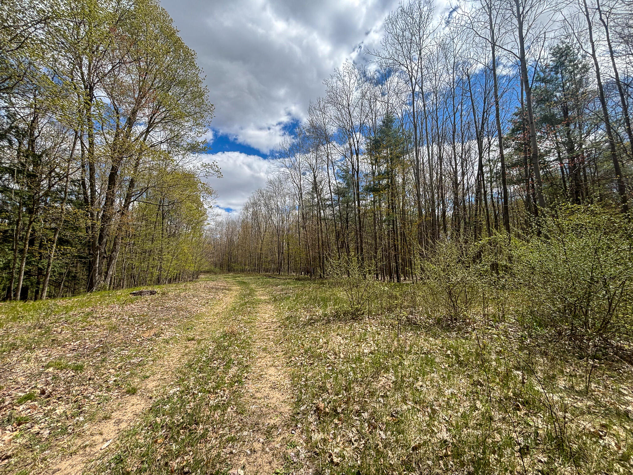 V/l 140a S S Eleven Mile Road Property Photo 55