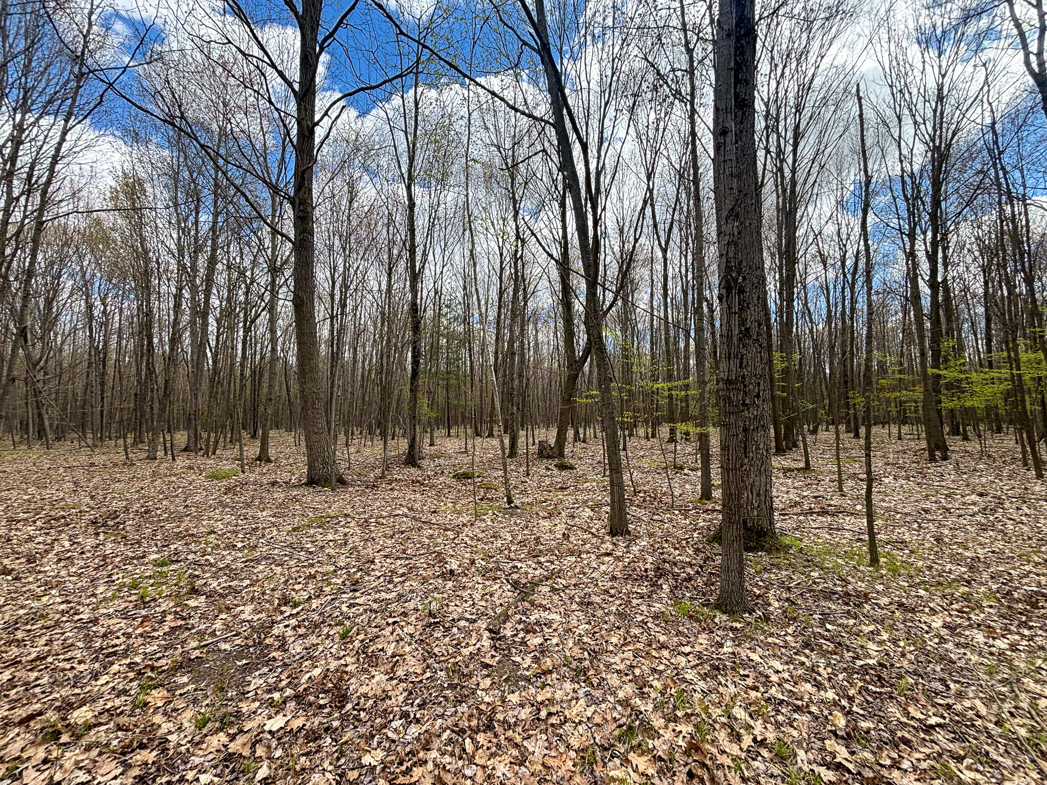 V/l 140a S S Eleven Mile Road Property Photo 62